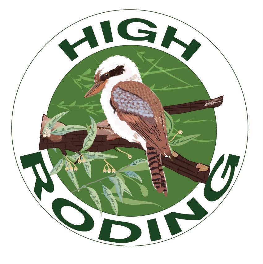 Logo Design