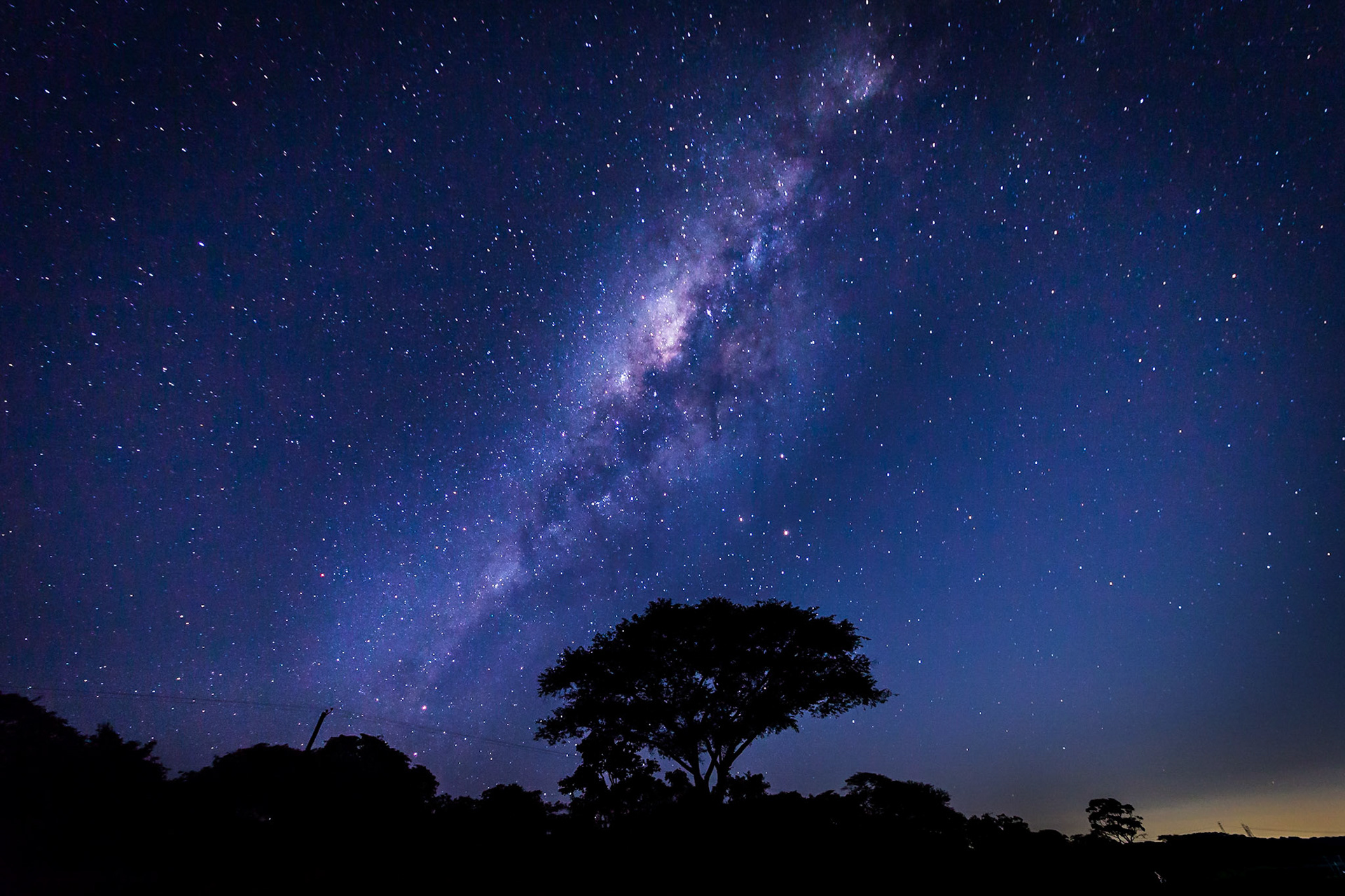 Starry Nights