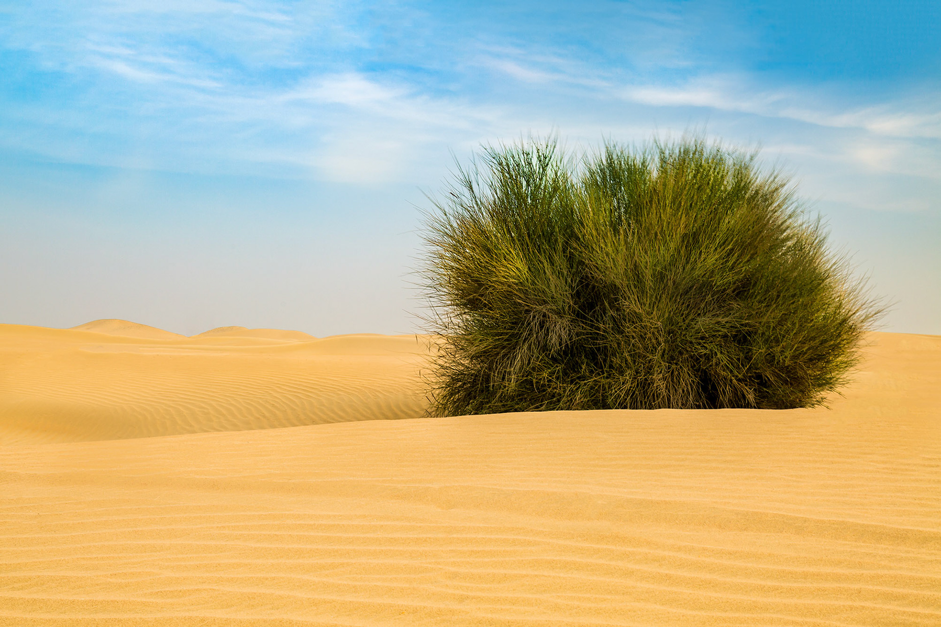 Al Qudra, UAE