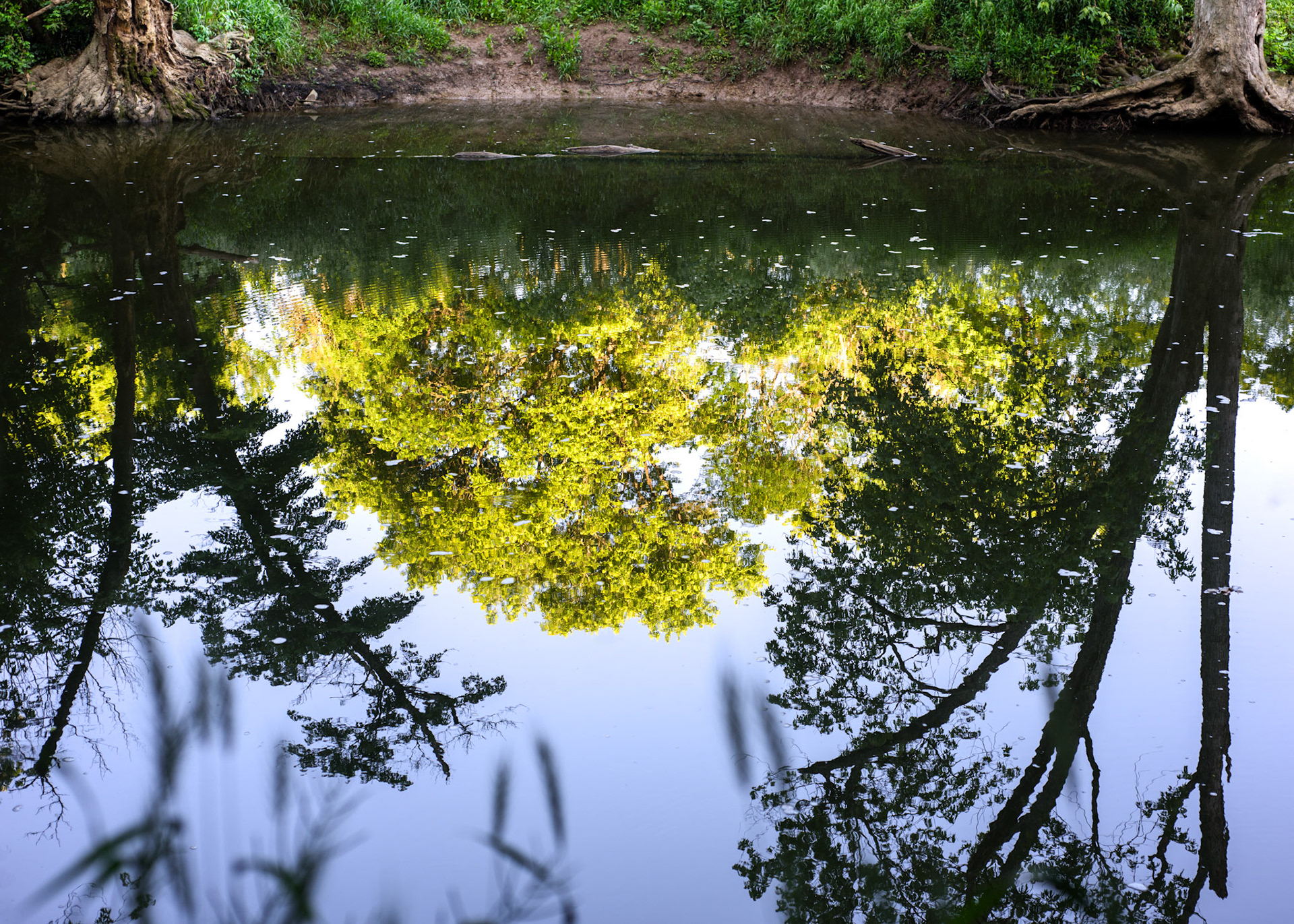 Late Spring Reflection (c) 2021 Jim Worthington All Rights Reserved