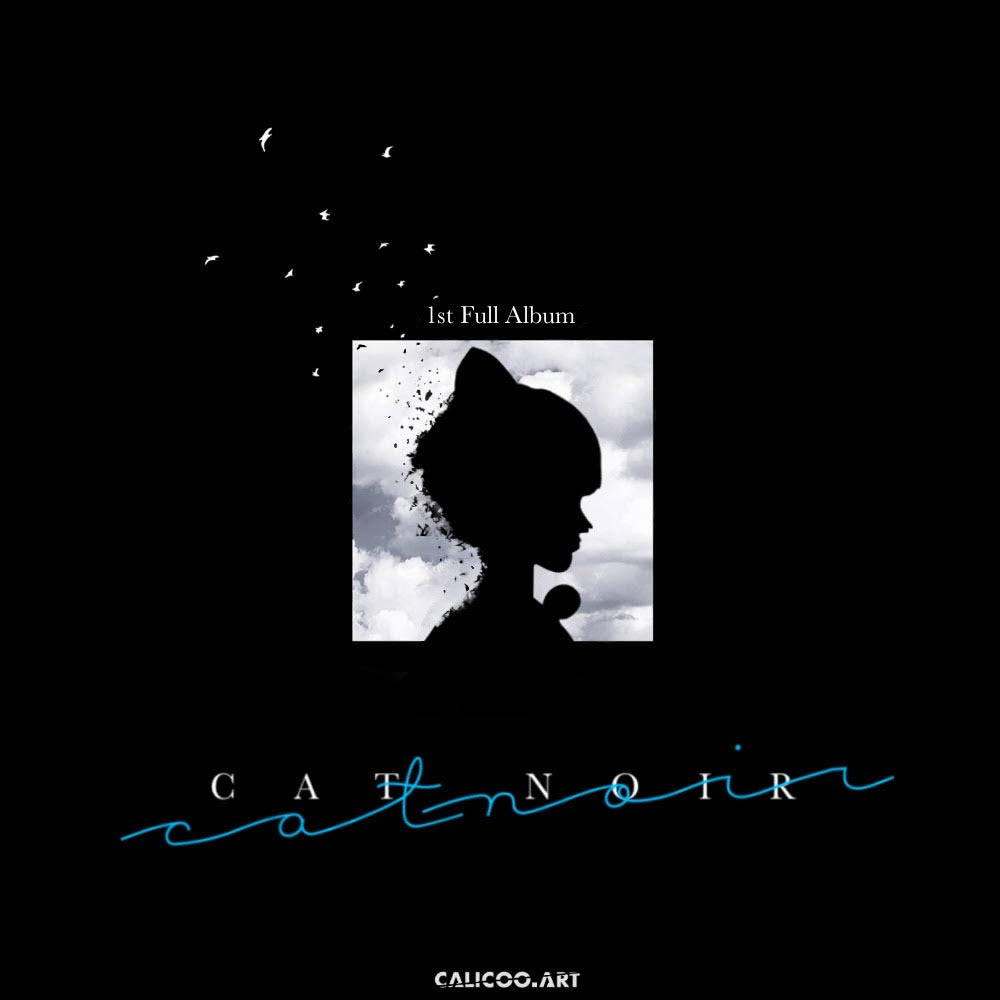 Cat Noir/B.A.P Inspired Album