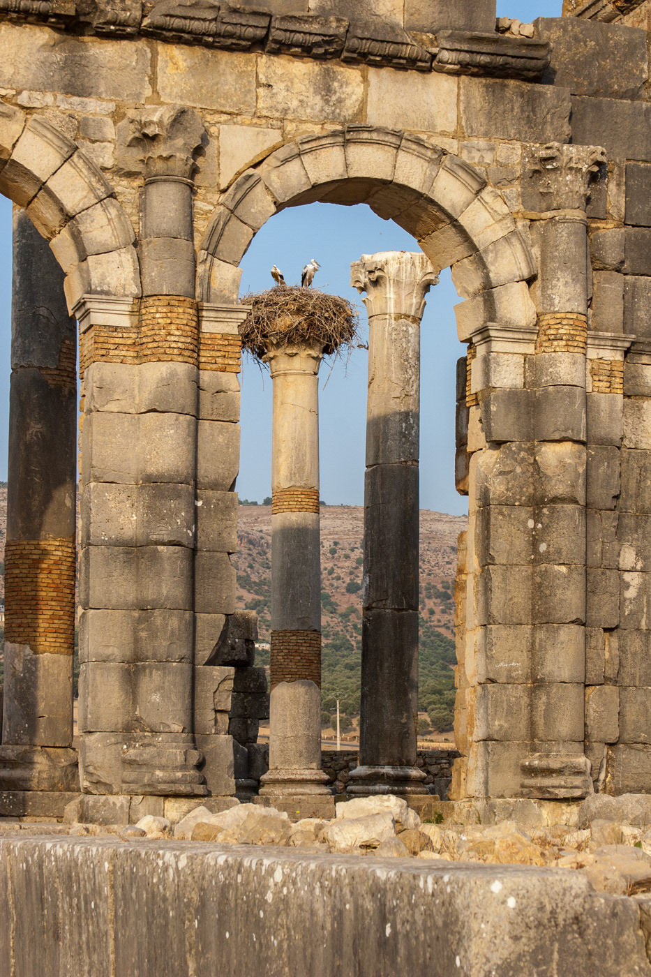 Volubilis