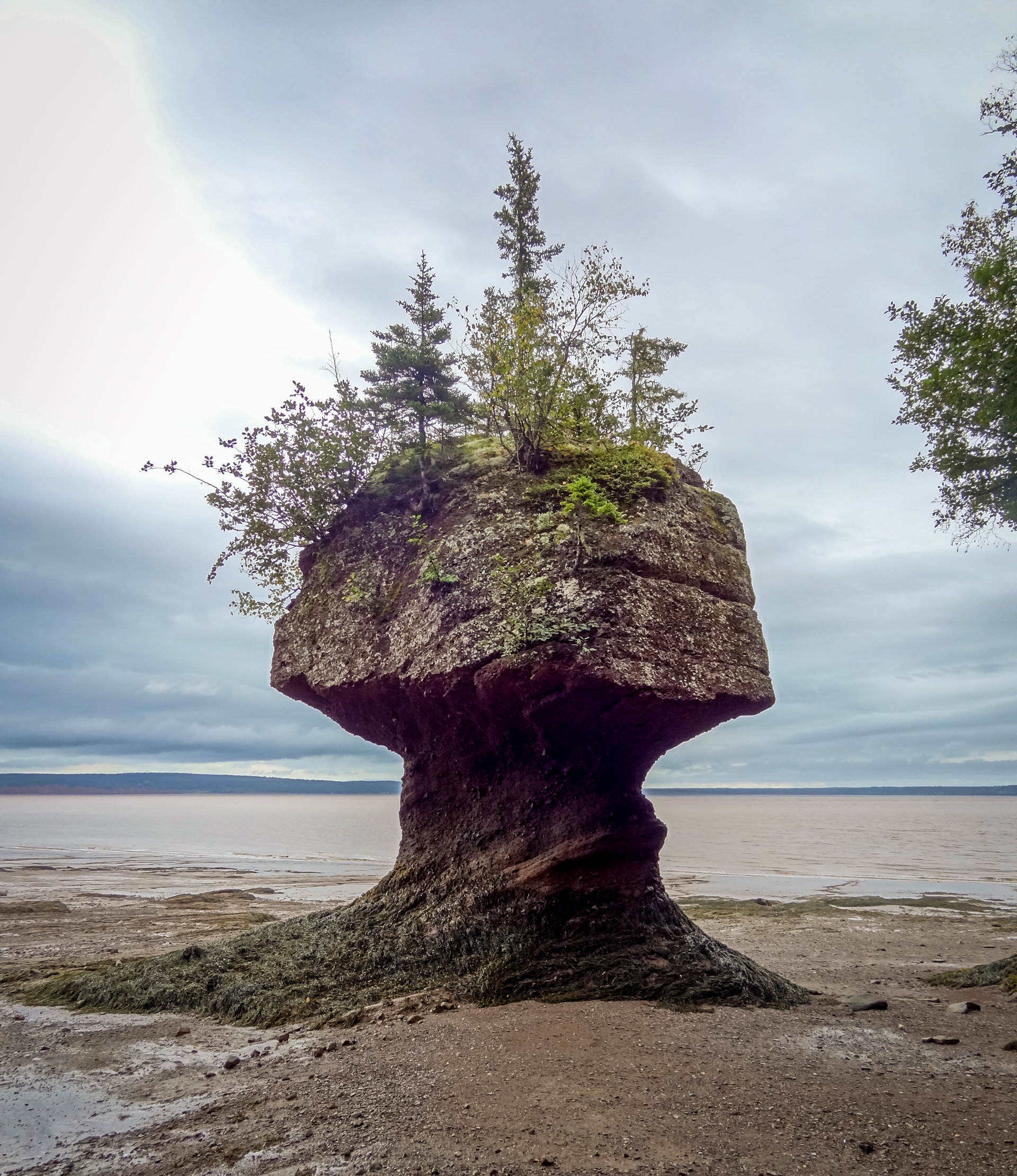 New Brunswick, Hopewell Rocks