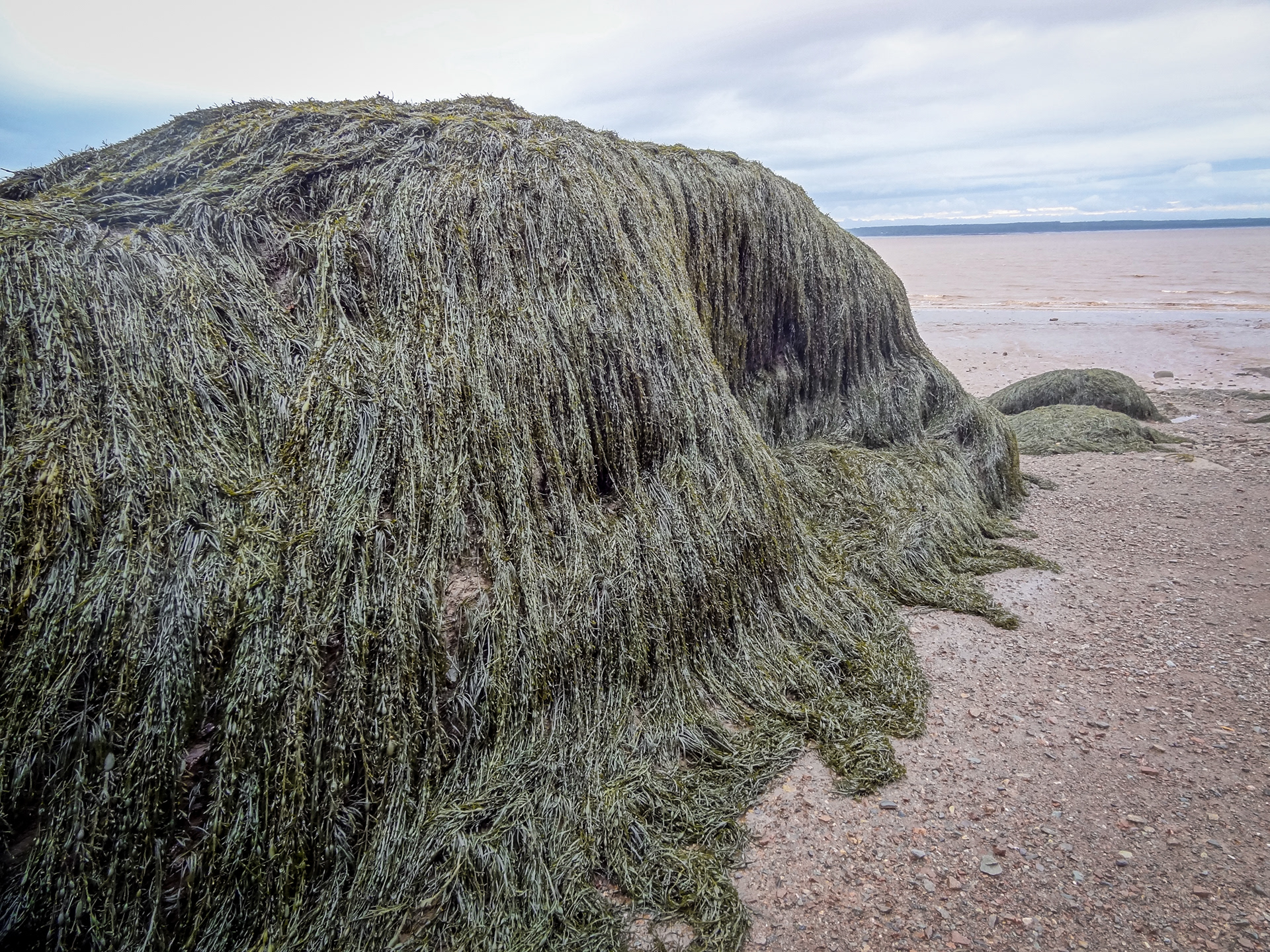 New Brunswick, Hopewell Rocks