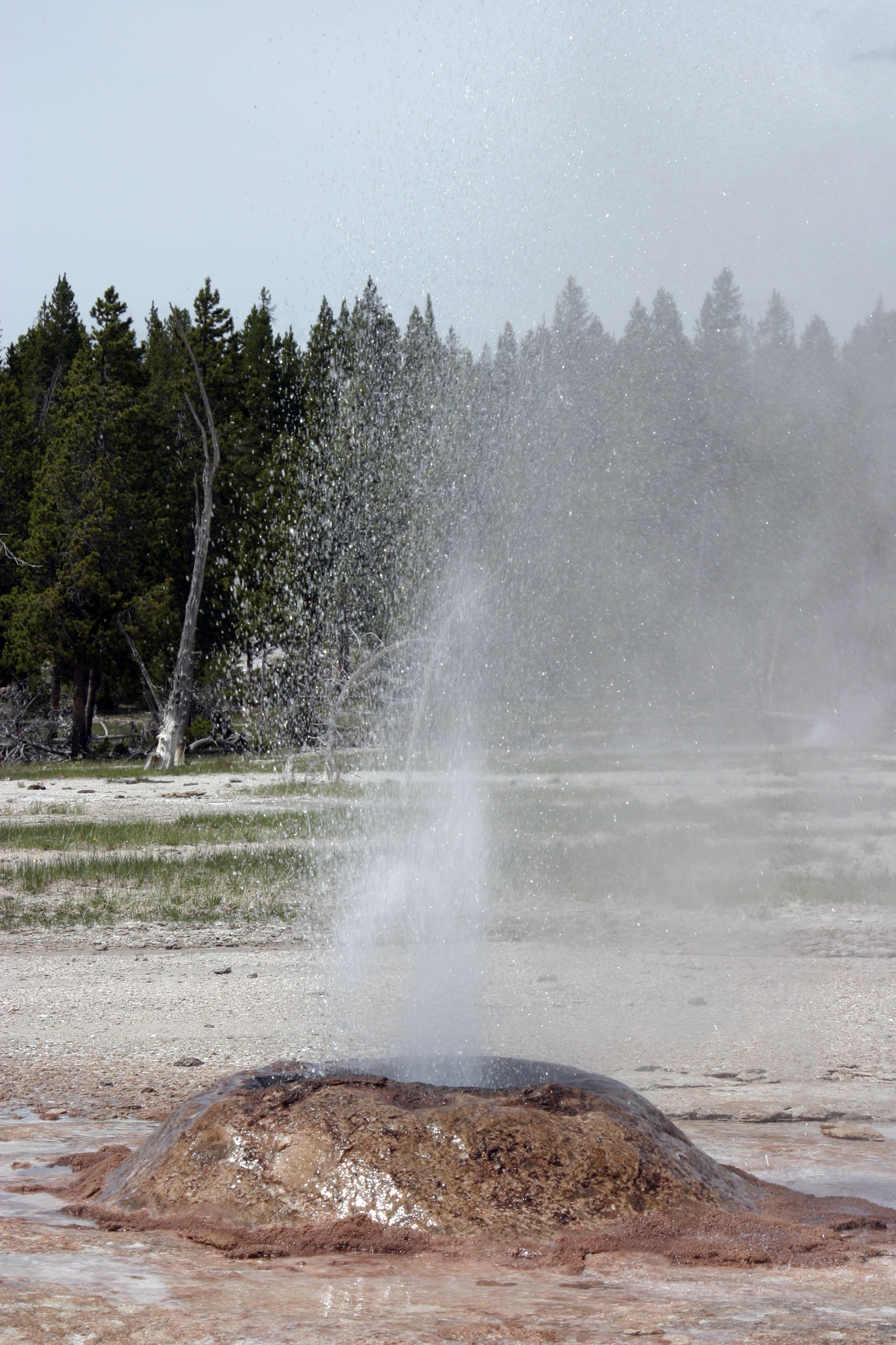 Yellowstone