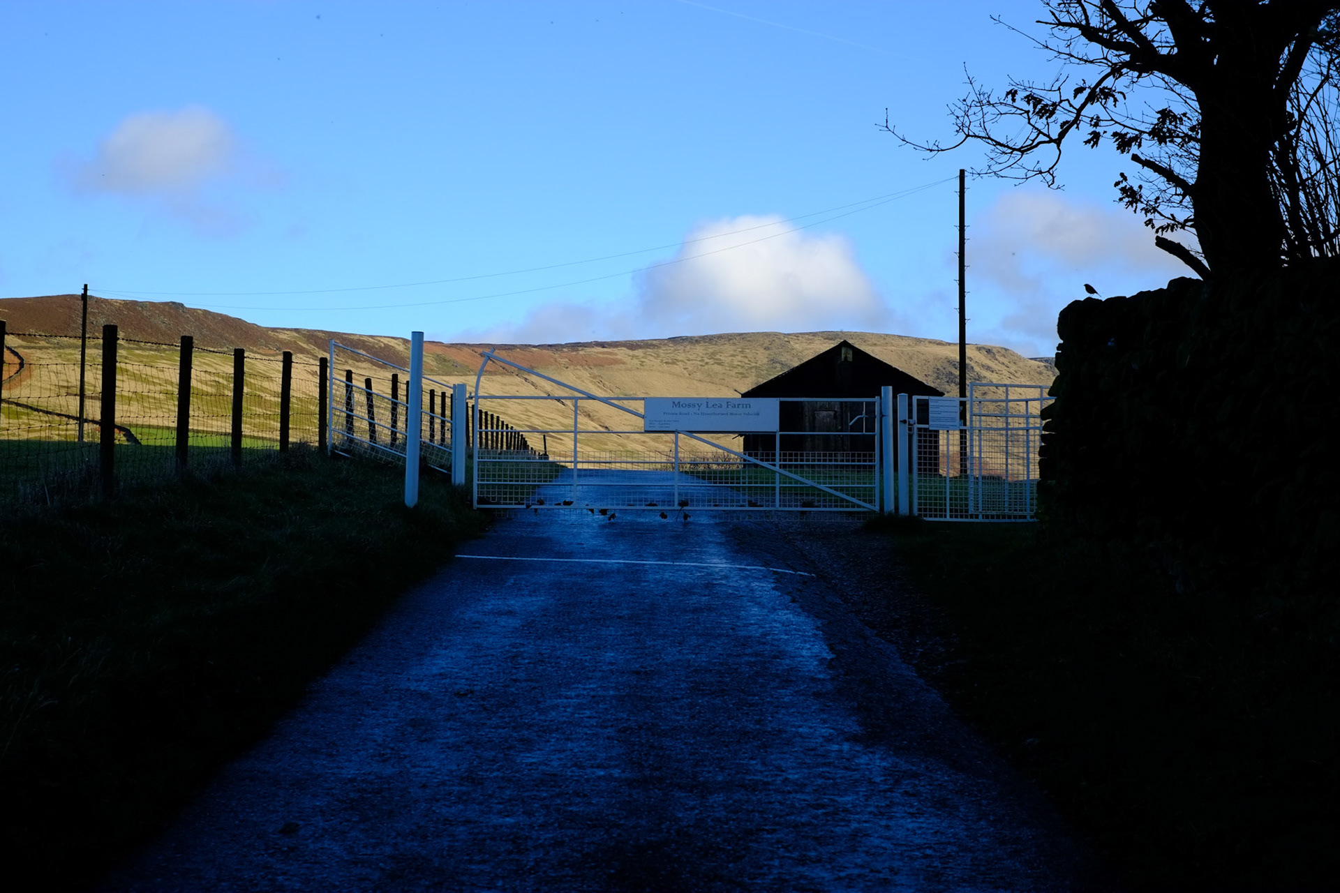 Mossy Lea Farm track