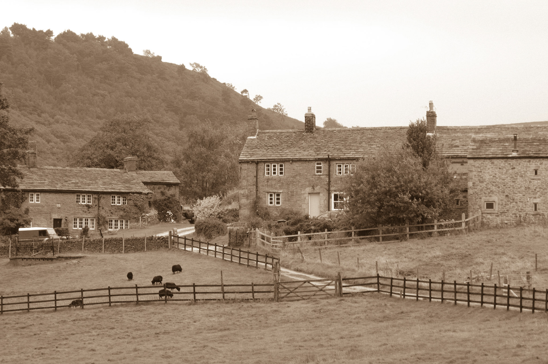 Hill Houses