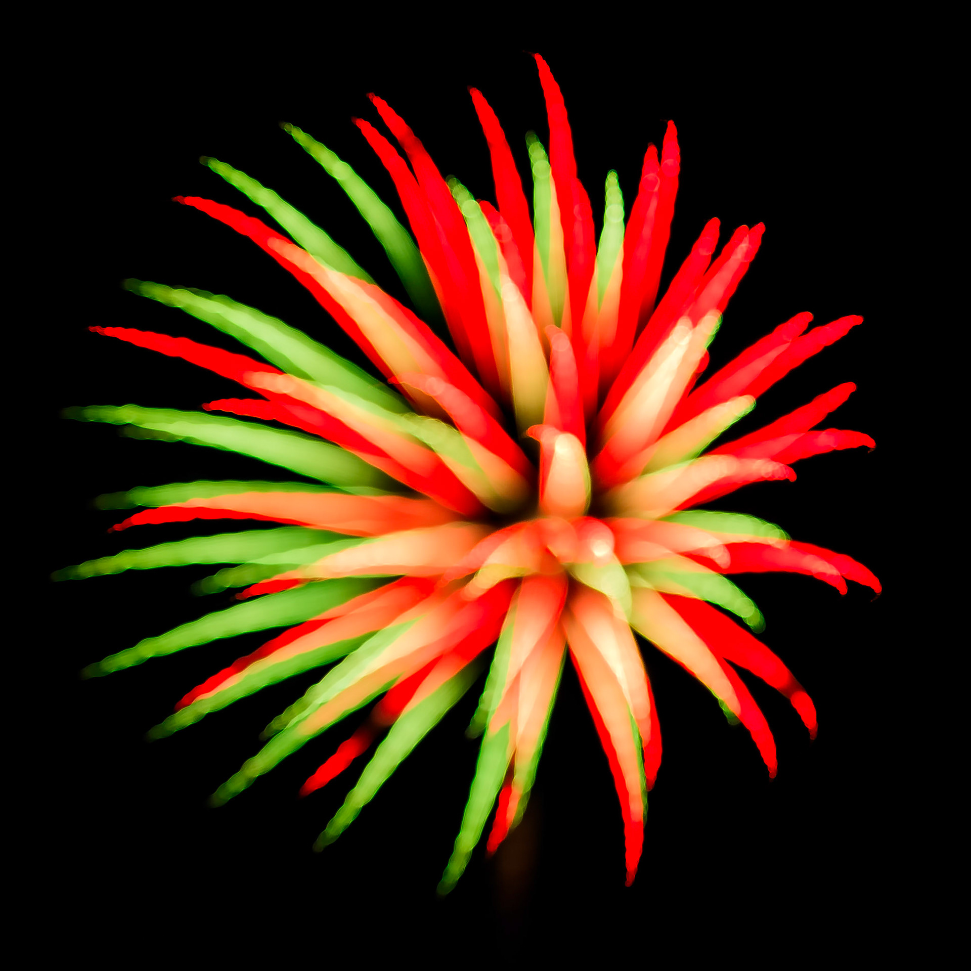 FIREWORKS 2
