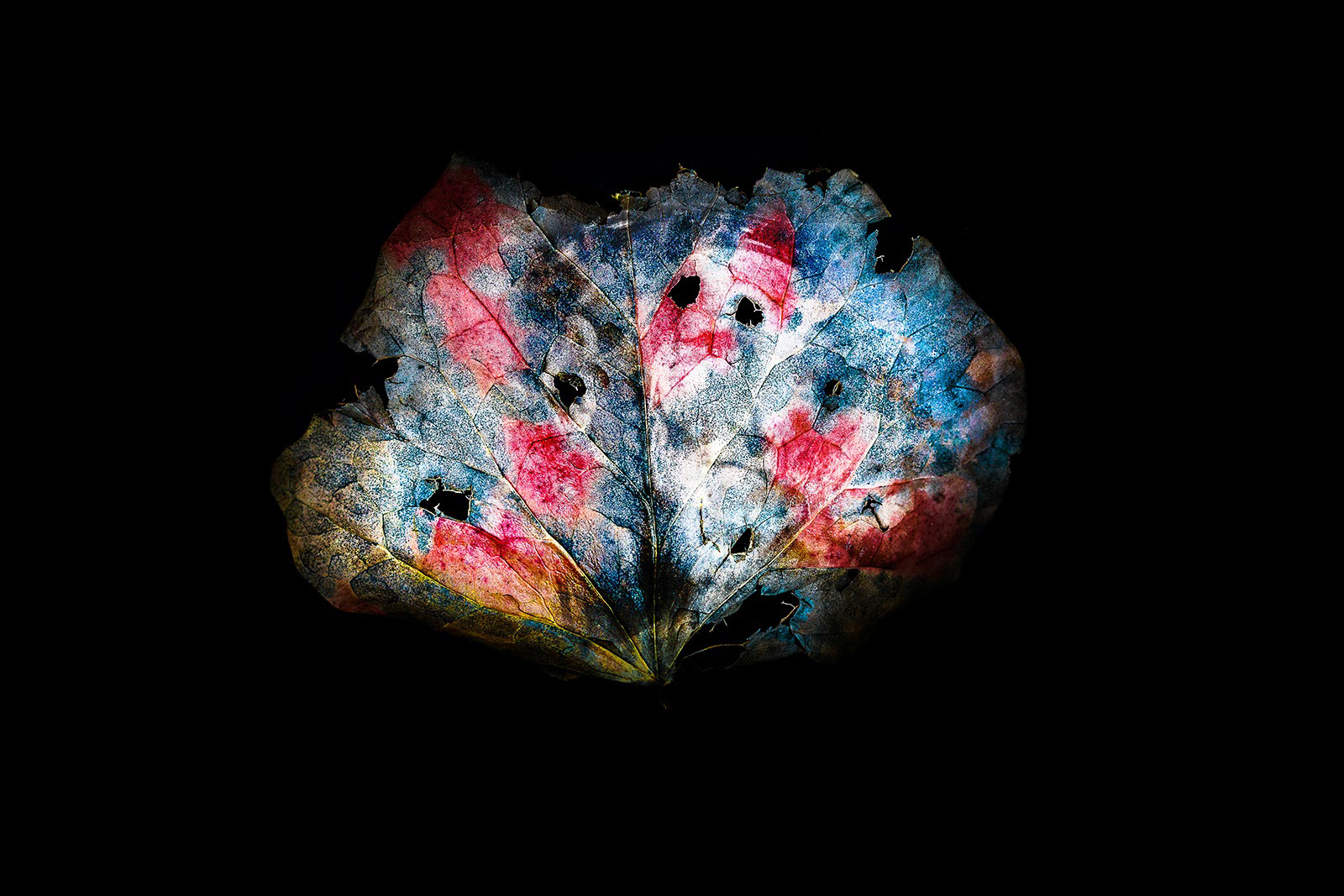 Corruption(s) - Air'Able - Photographie Numérique en Studio - Tunisie - 2015