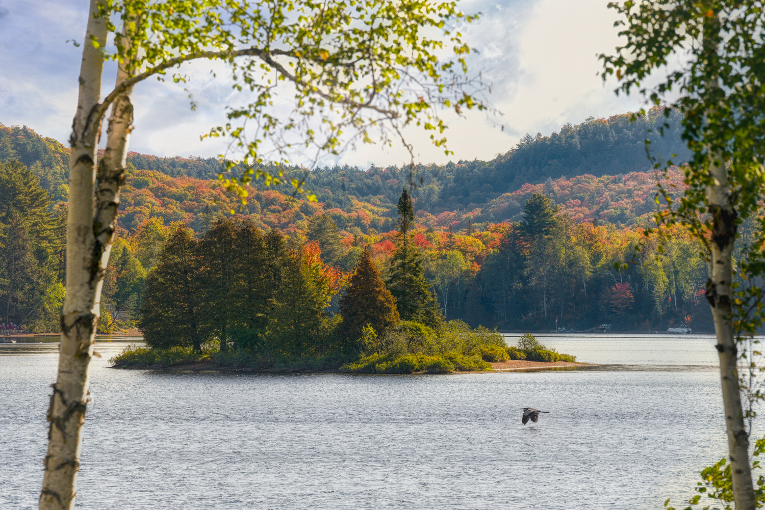 Little Island (Oxtongue Lake) © Irwin Seidman