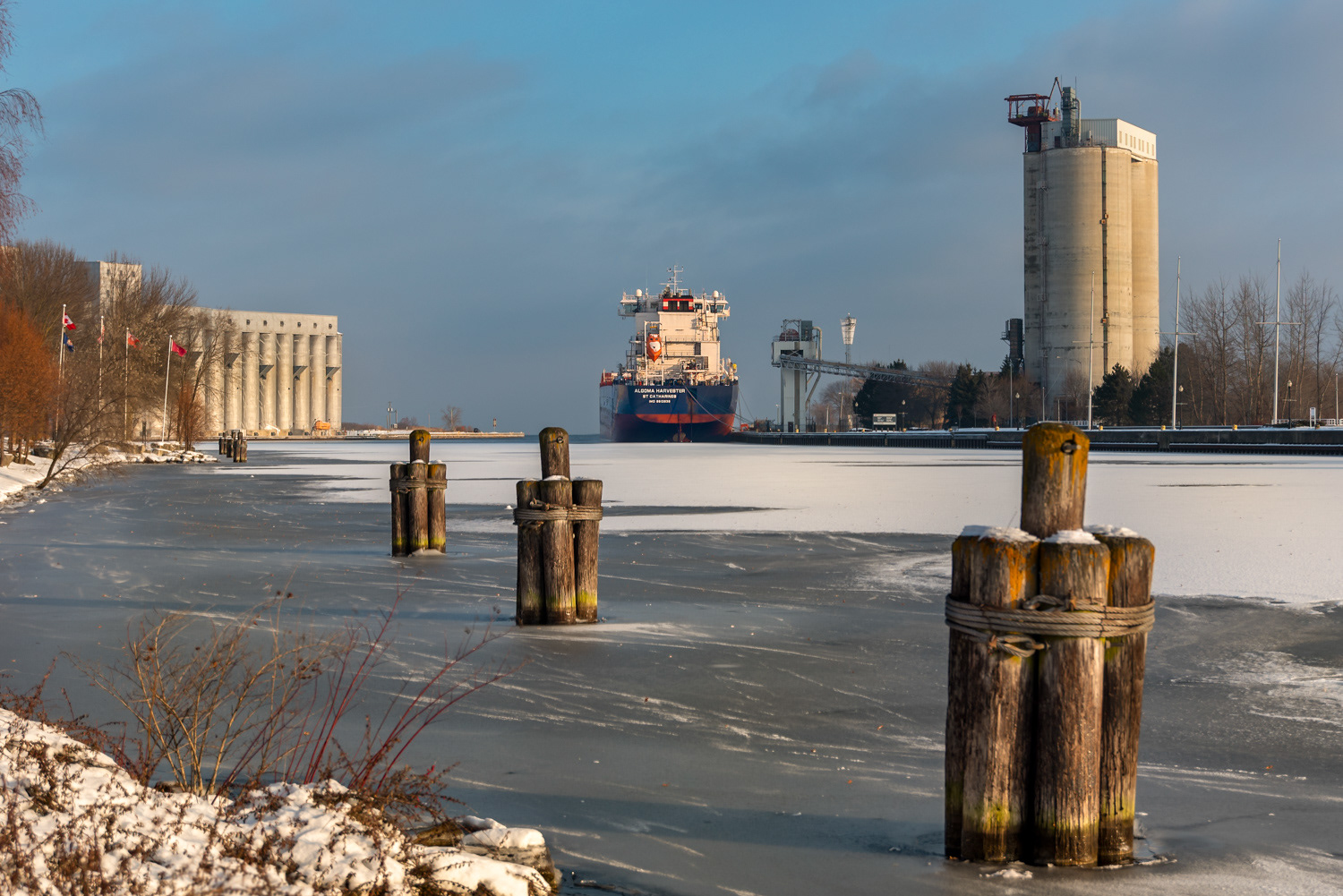 Algoma Harvester © Irwin Seidman