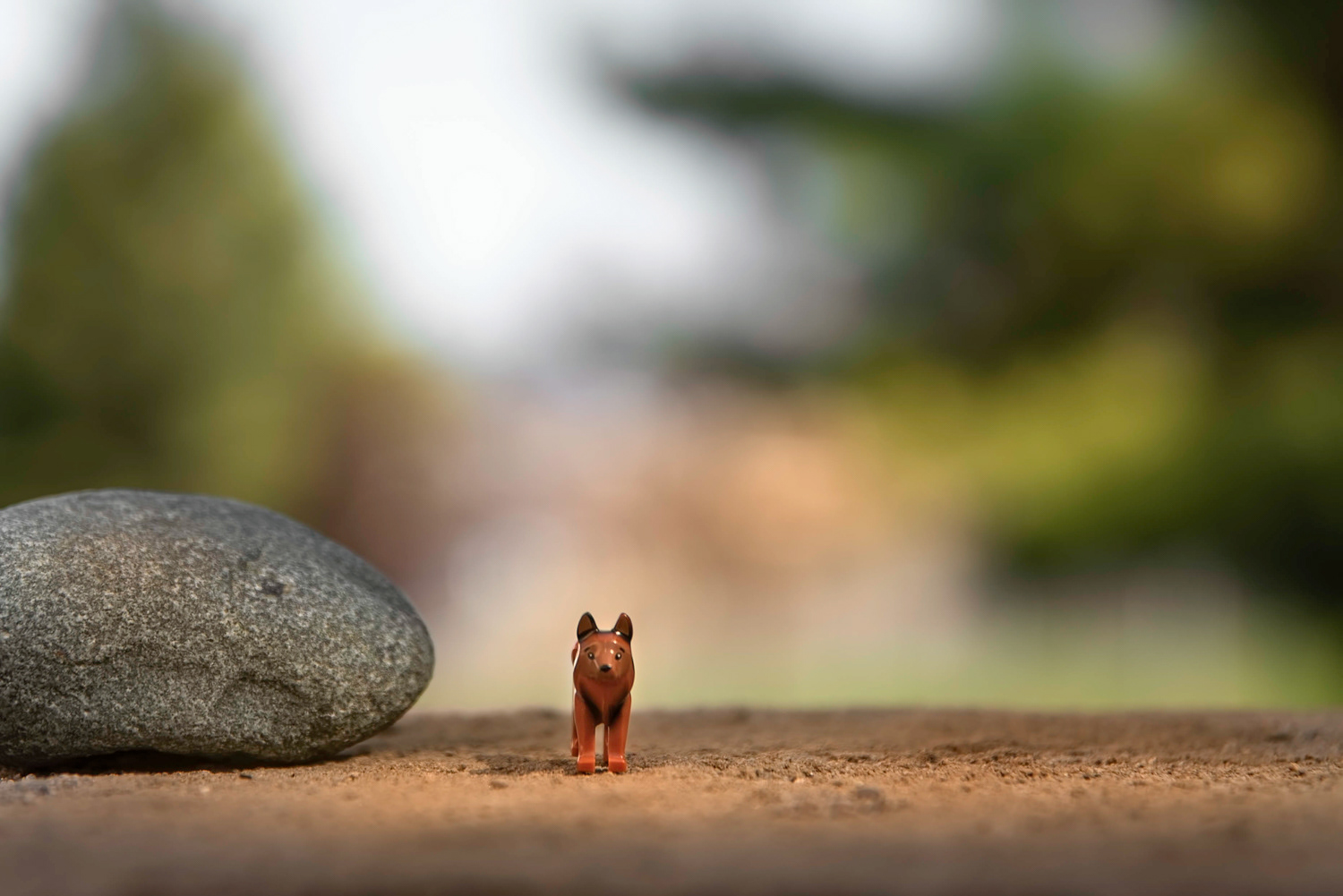 Lego dog waiting along the trail © Irwin Seidman