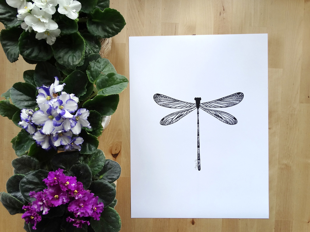 DRAGONFLY - poster