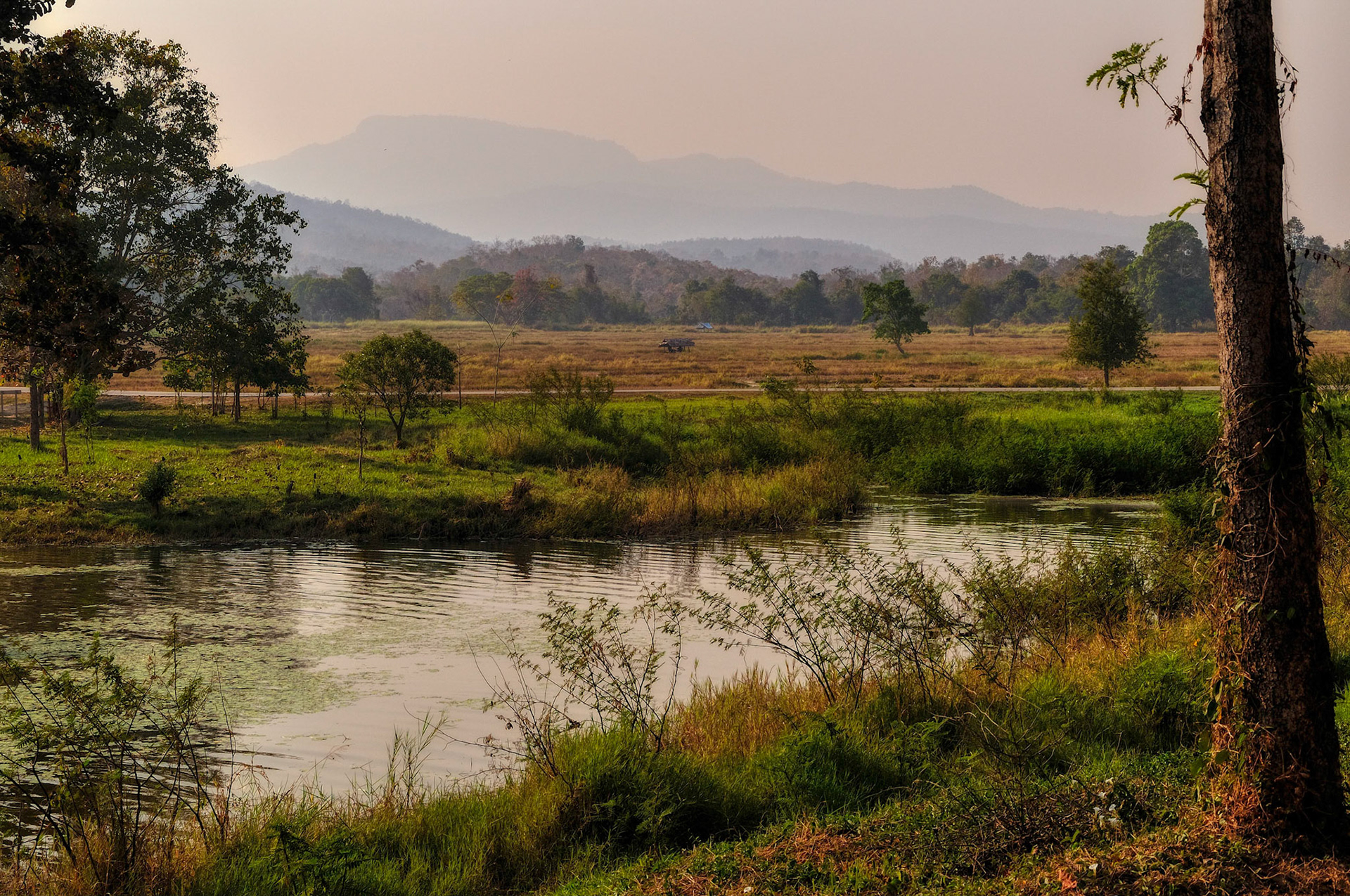 Thailand