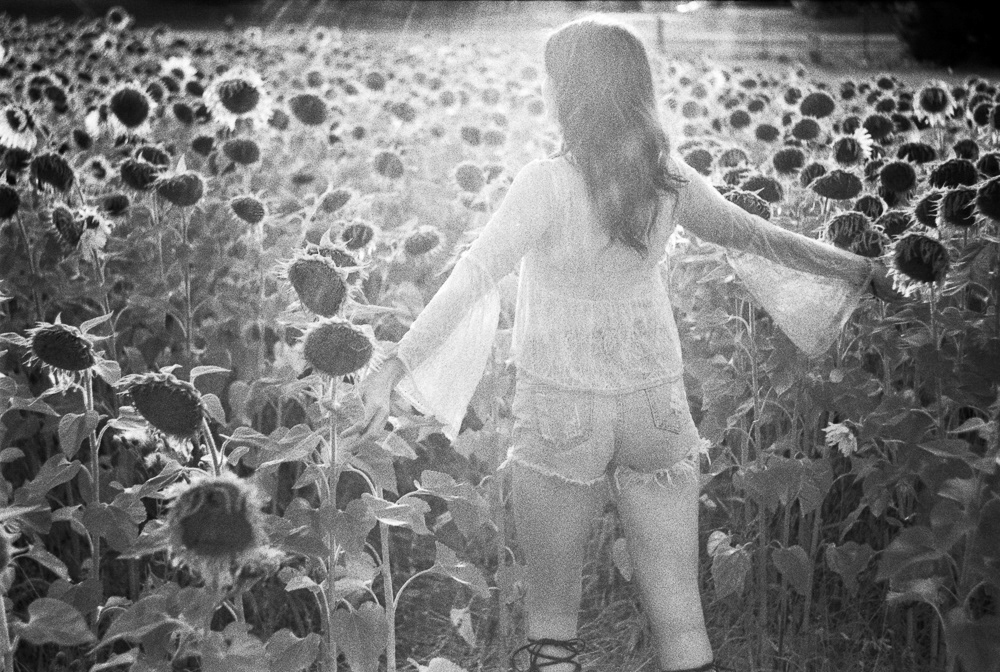 Sun rays on girl in sunflower field