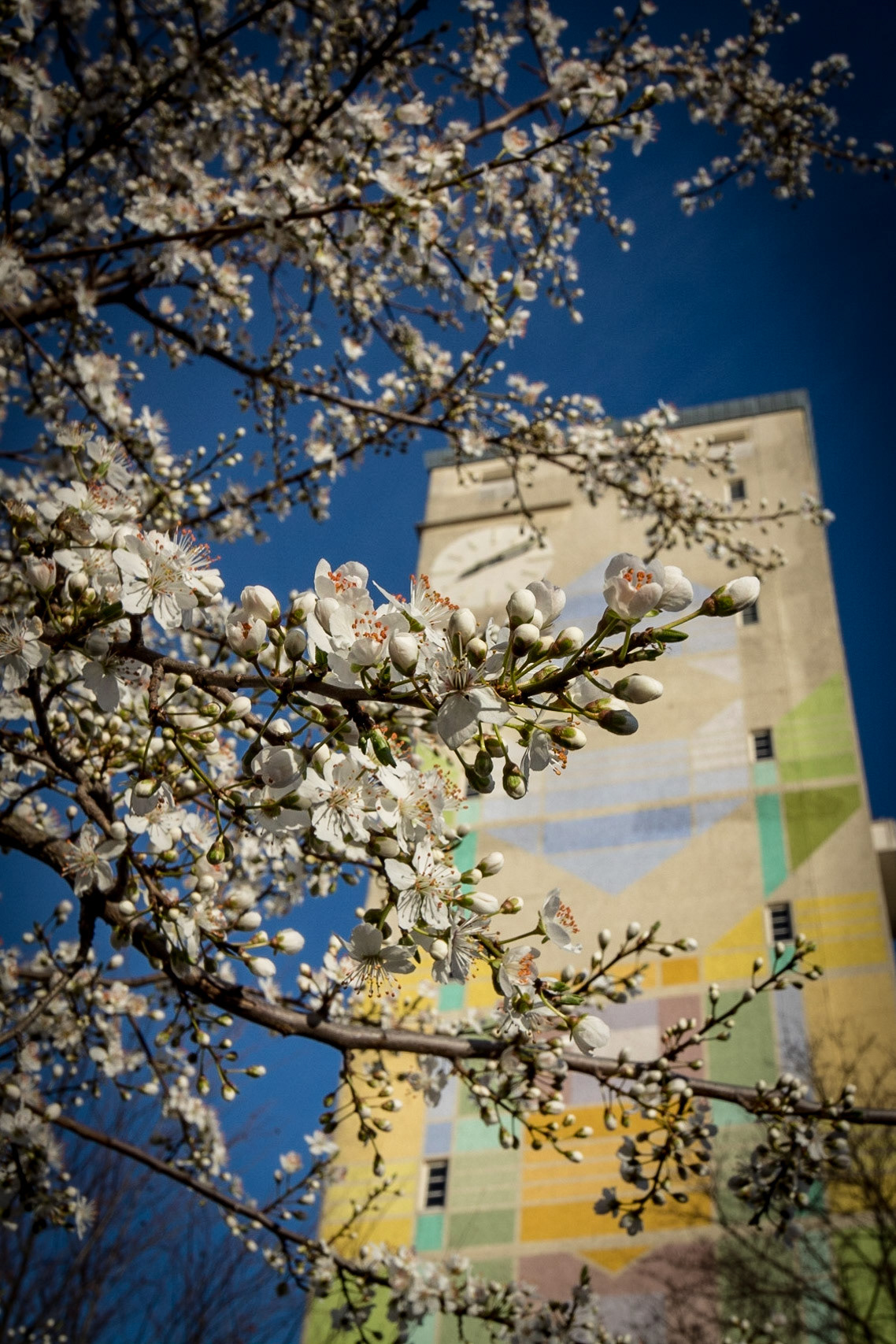 Wasserturm