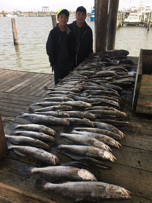 Taylor's Guide Service - Photos