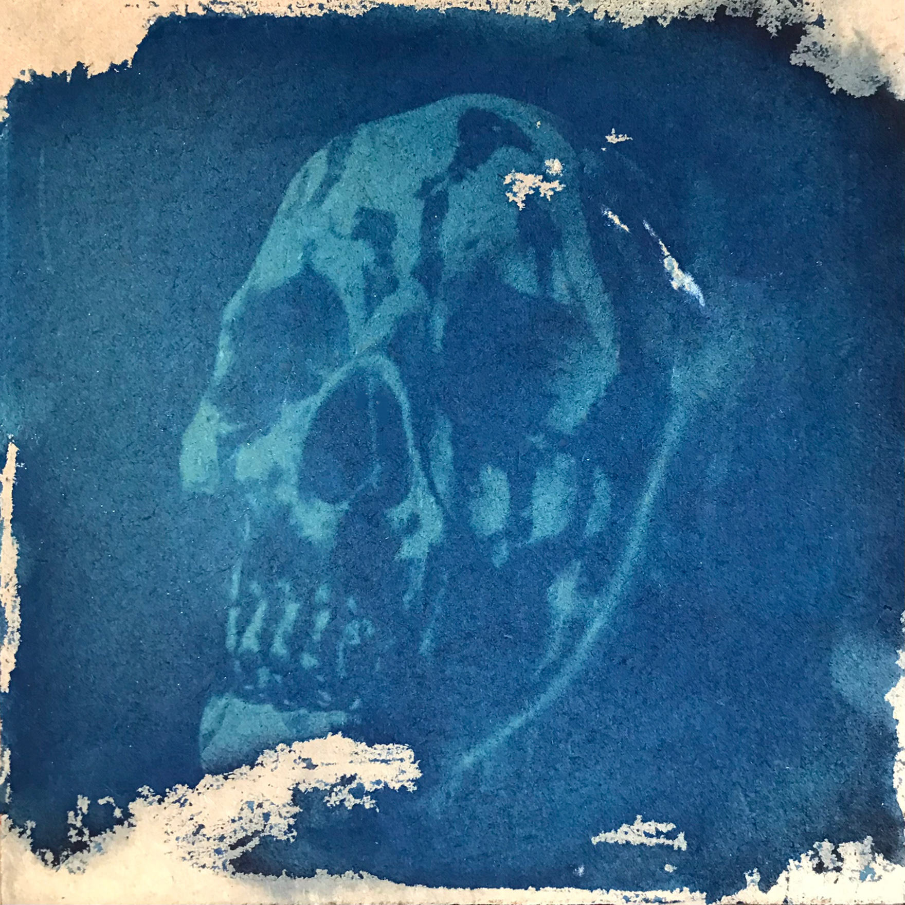 Drip Skull 1