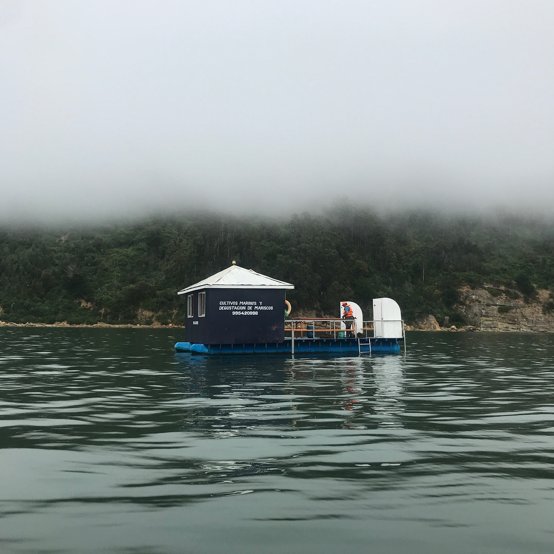 Restaurant Flottant...Floating Restaurant!