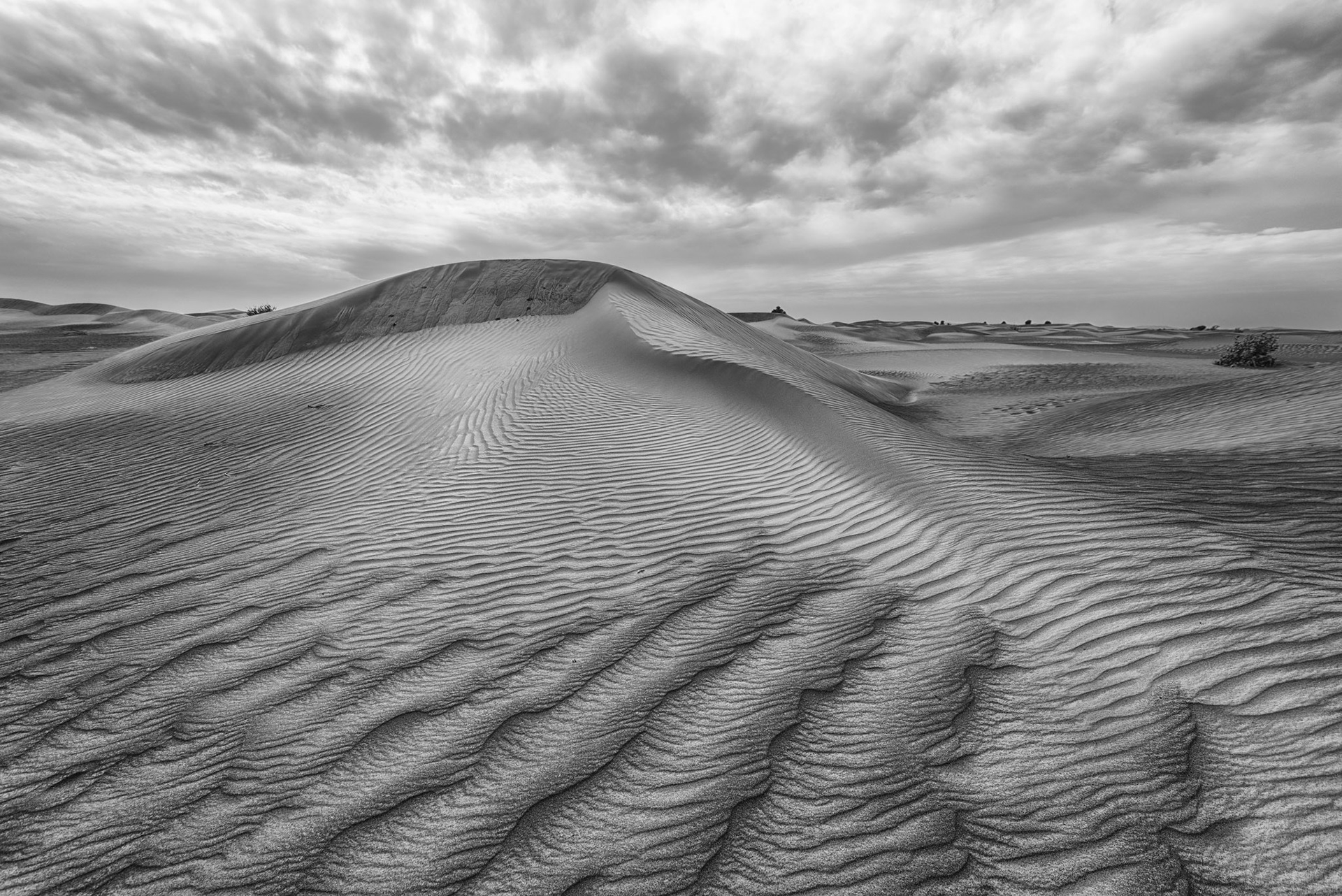 The Empty Quarter - Abu Dhabi, UAE