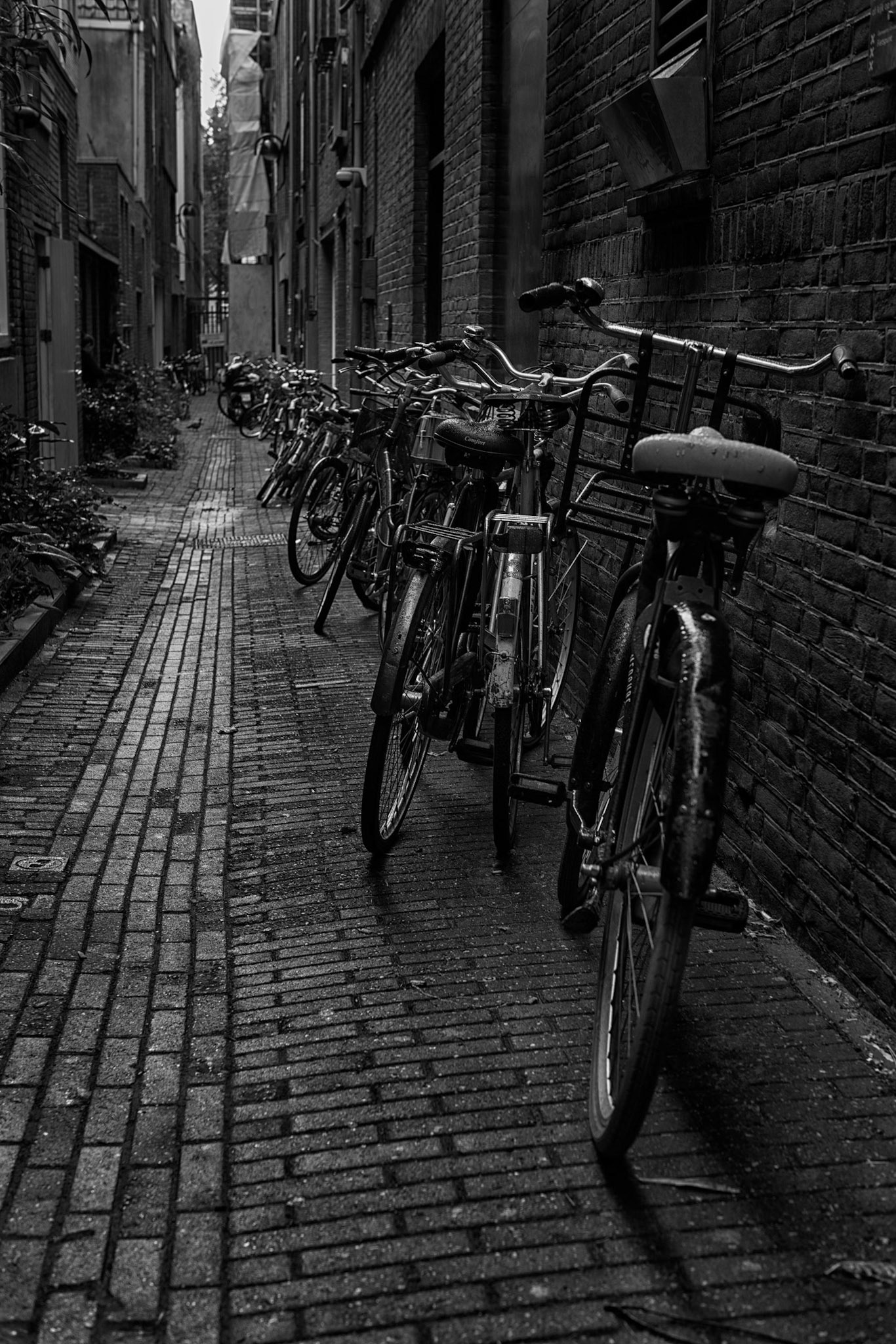 Bicycle Alley - Amsterdam, Netherlands
