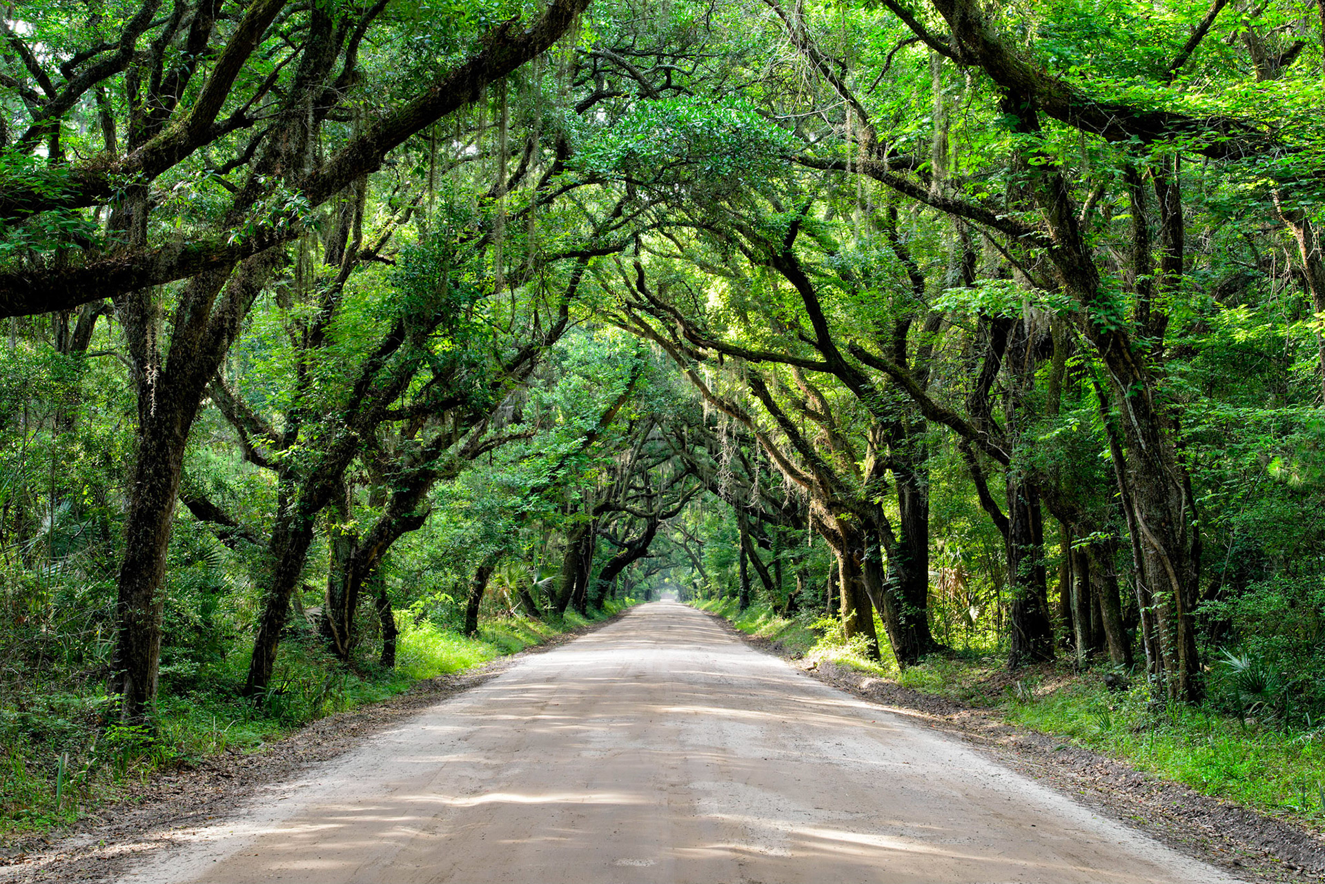 Andrew Rosser - USA - Southeast Nature/Landscapes