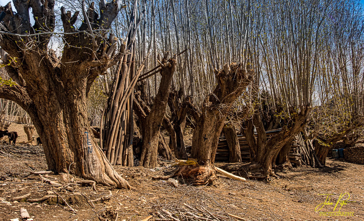 Mustang District, Nepal
