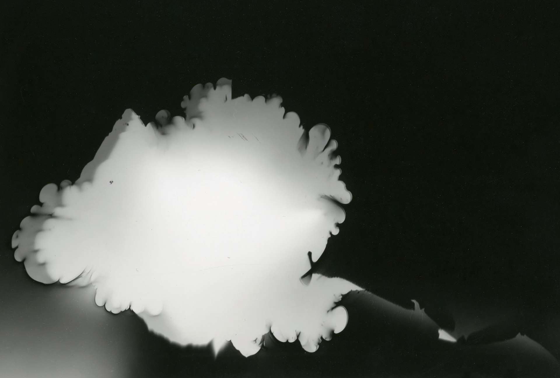 Water photogram (Untitled 2017)