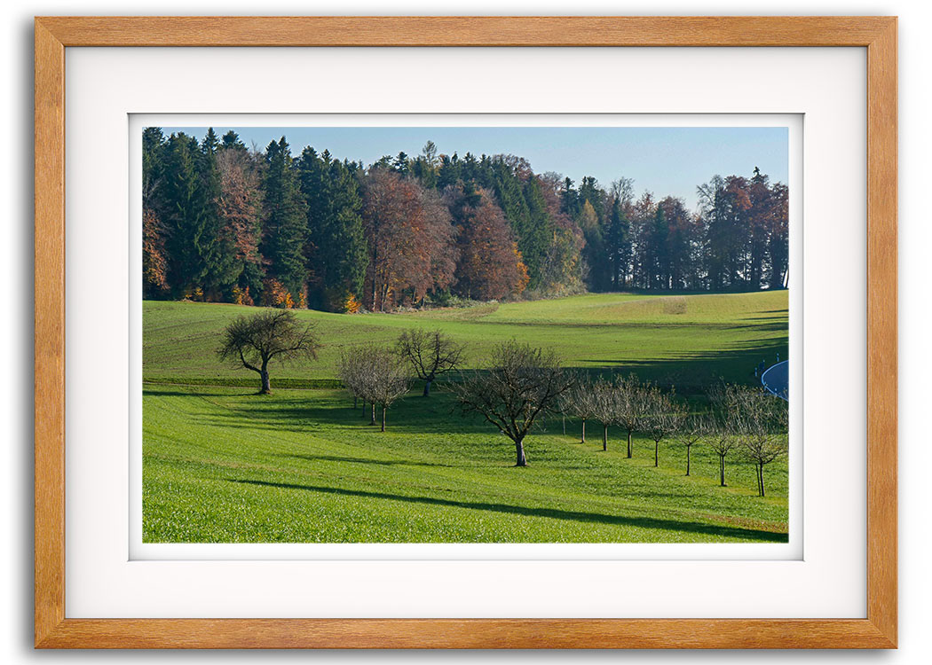 Blickrichtung Wermatswil