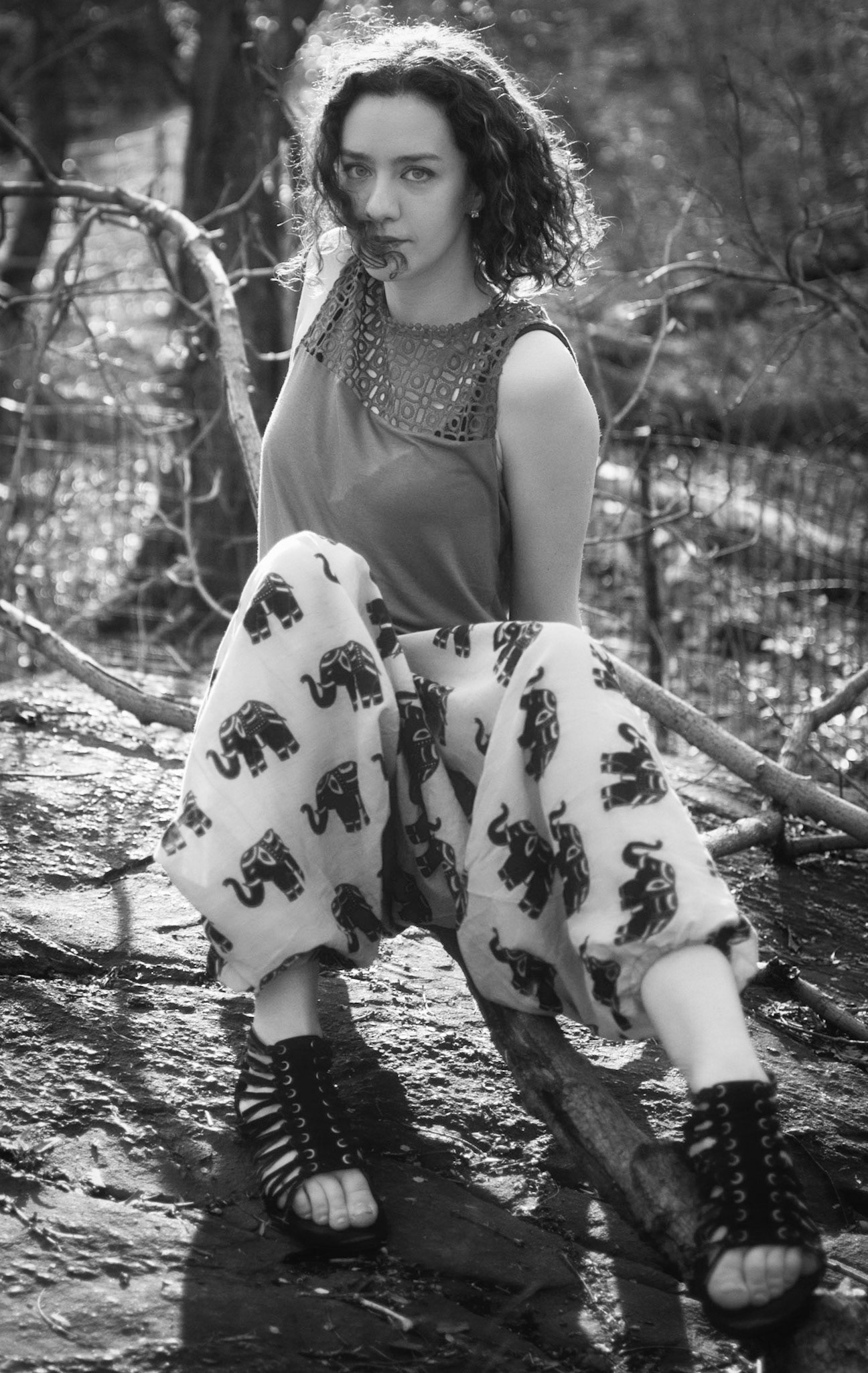 On that Tree Branch
