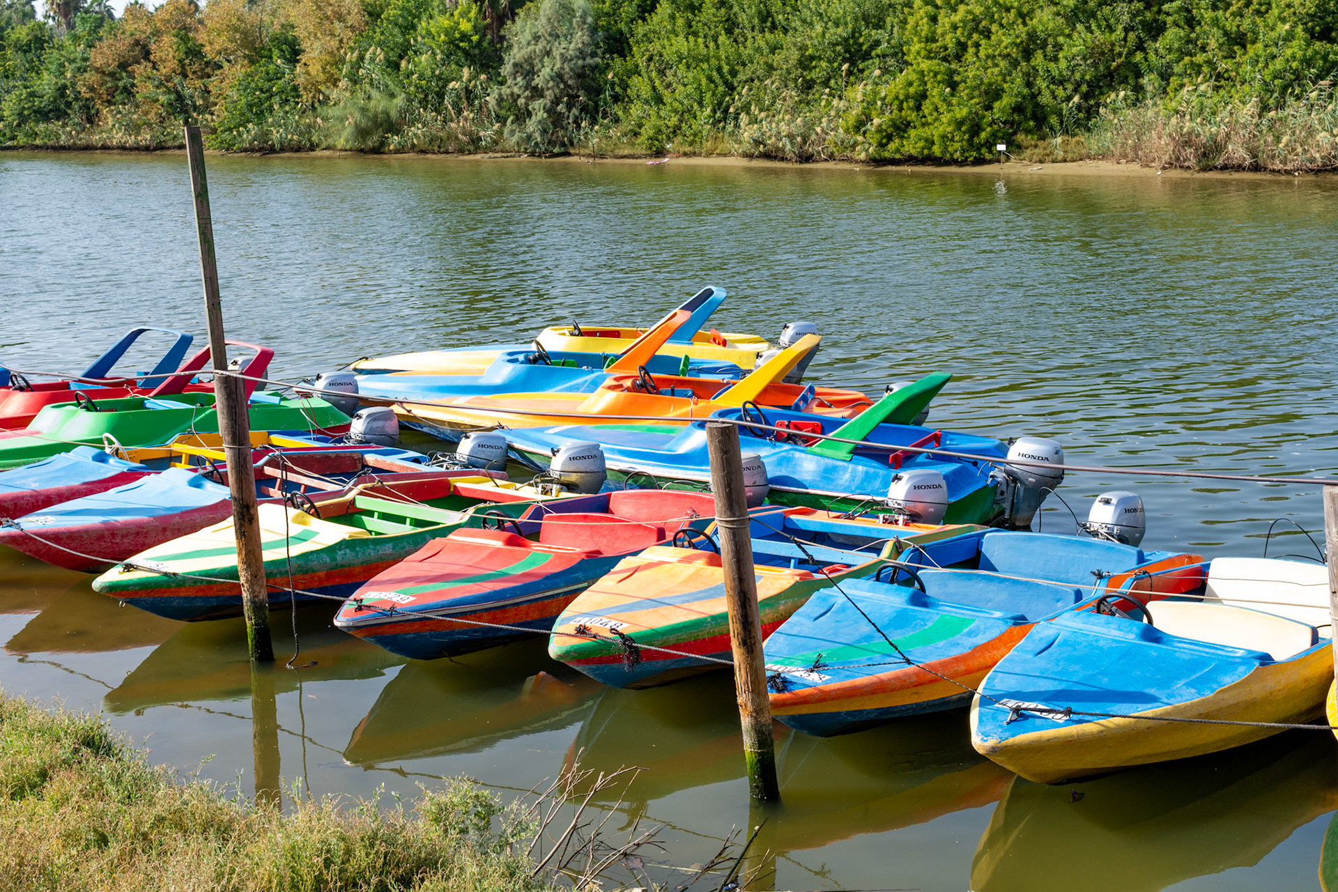 Hayarkon-Park in Tel Aviv