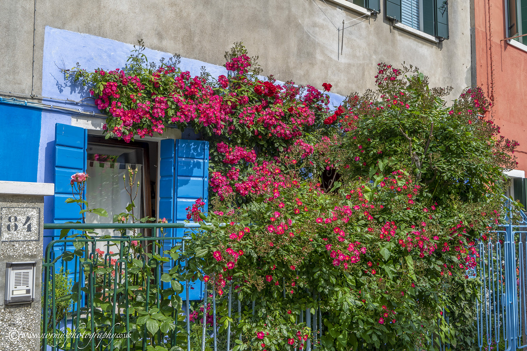 Front garden