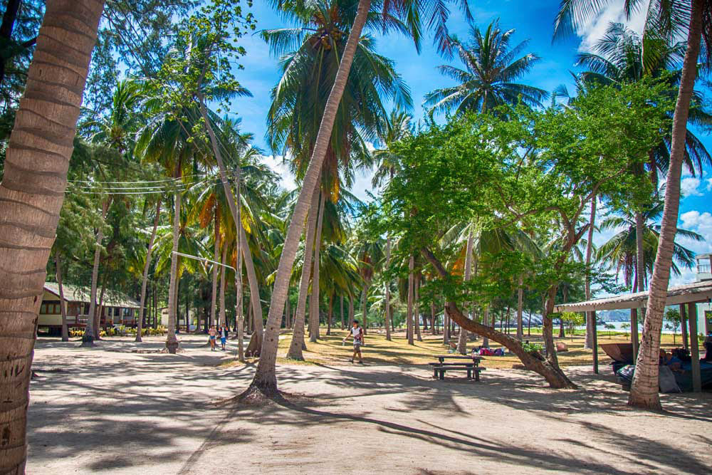Palmstrand
