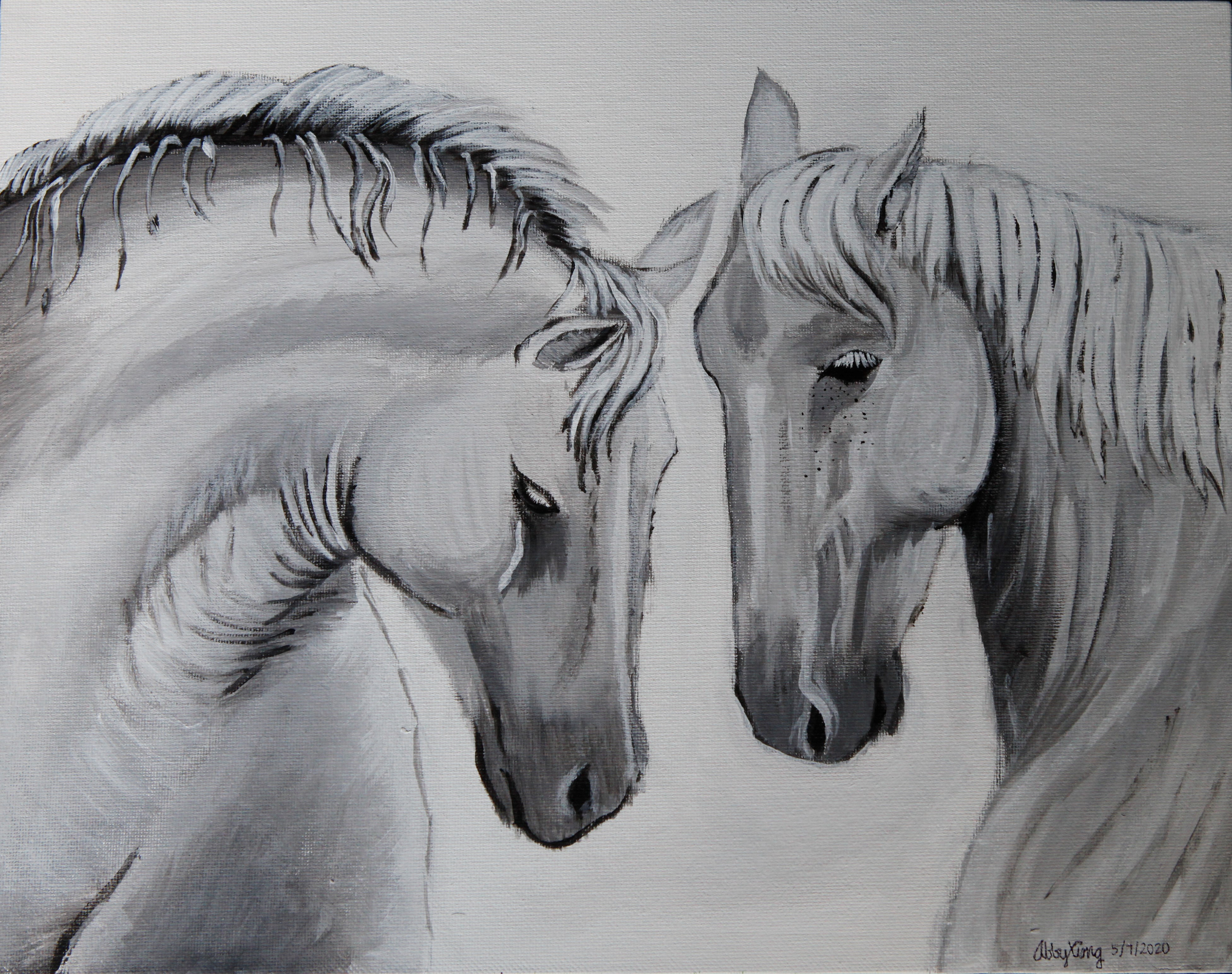 Two white horses