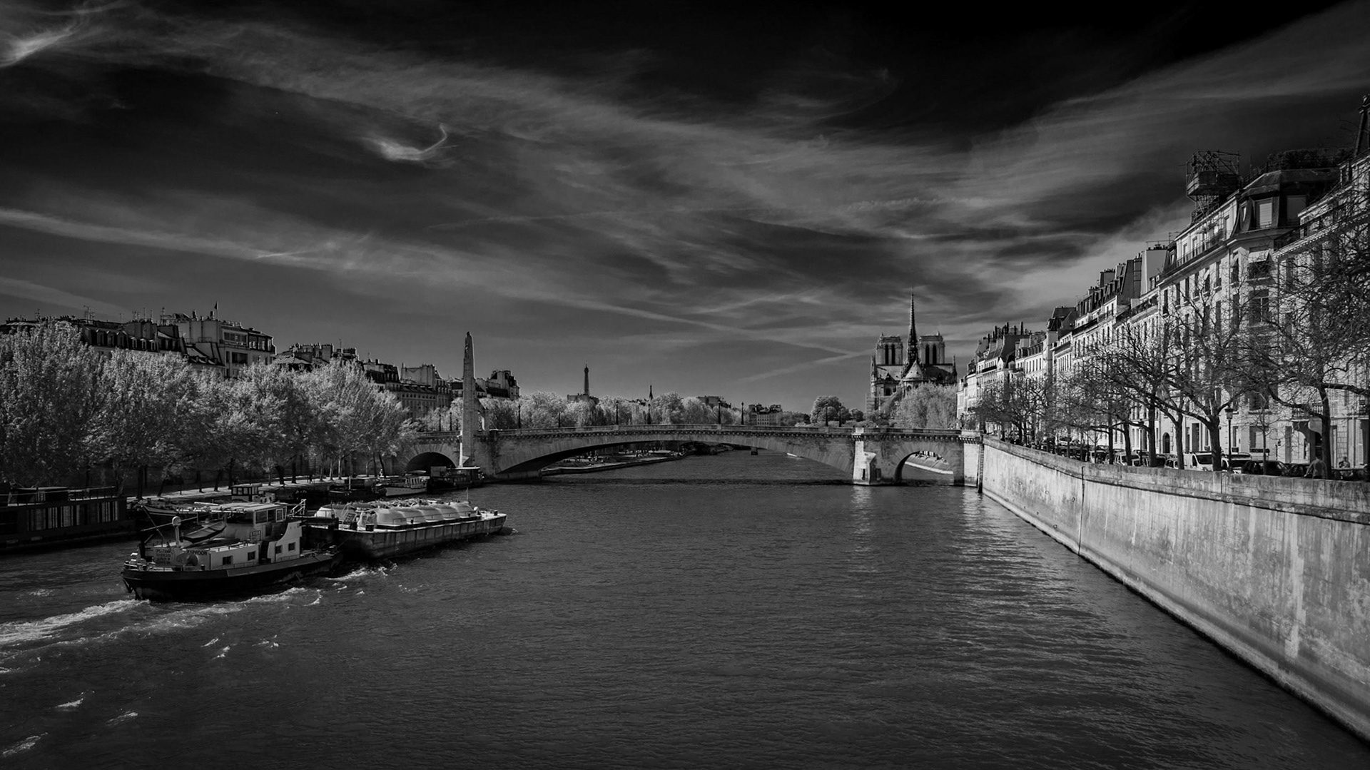 Cathédrale Notre-Dame de Paris, France