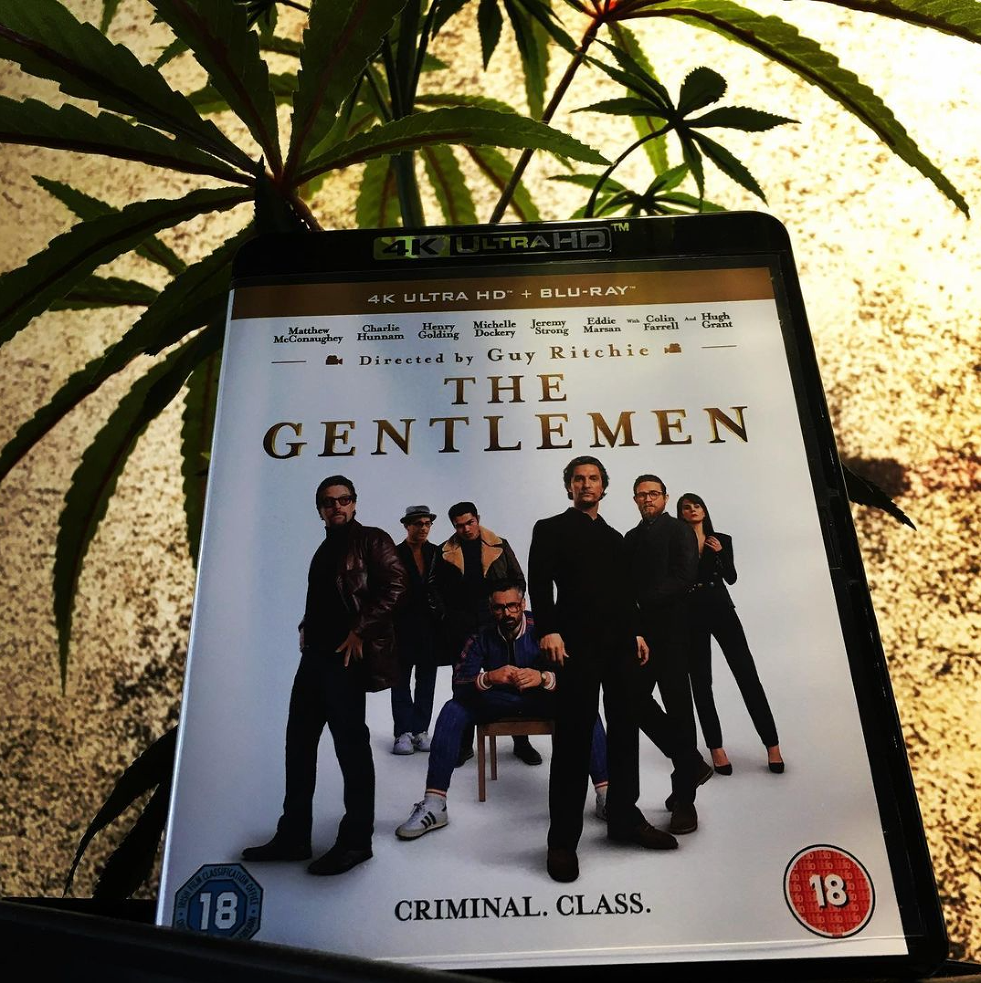 THE GENTLEMEN - Miramax