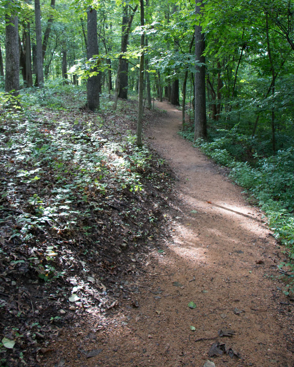 Trail