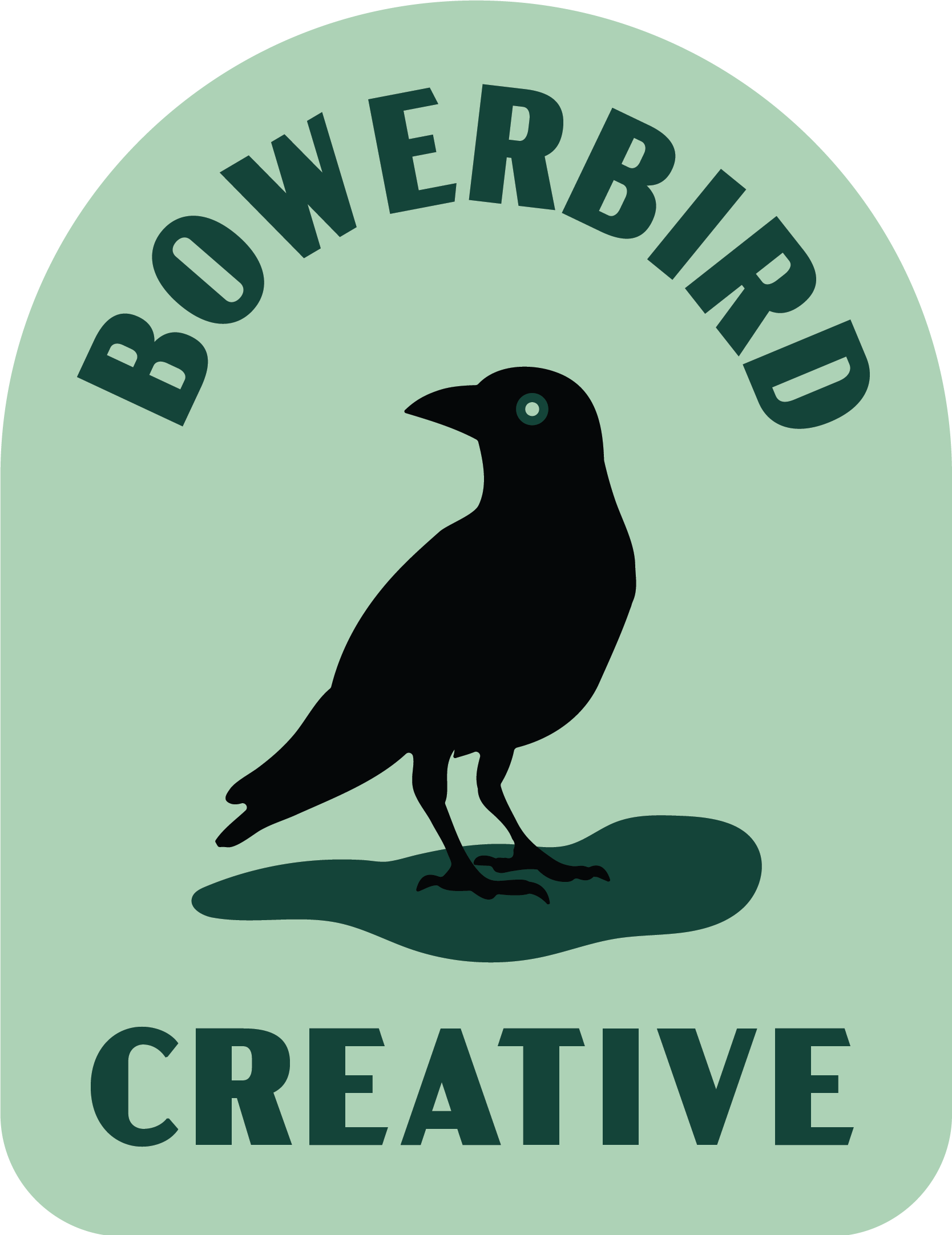 Bowerbird Creative