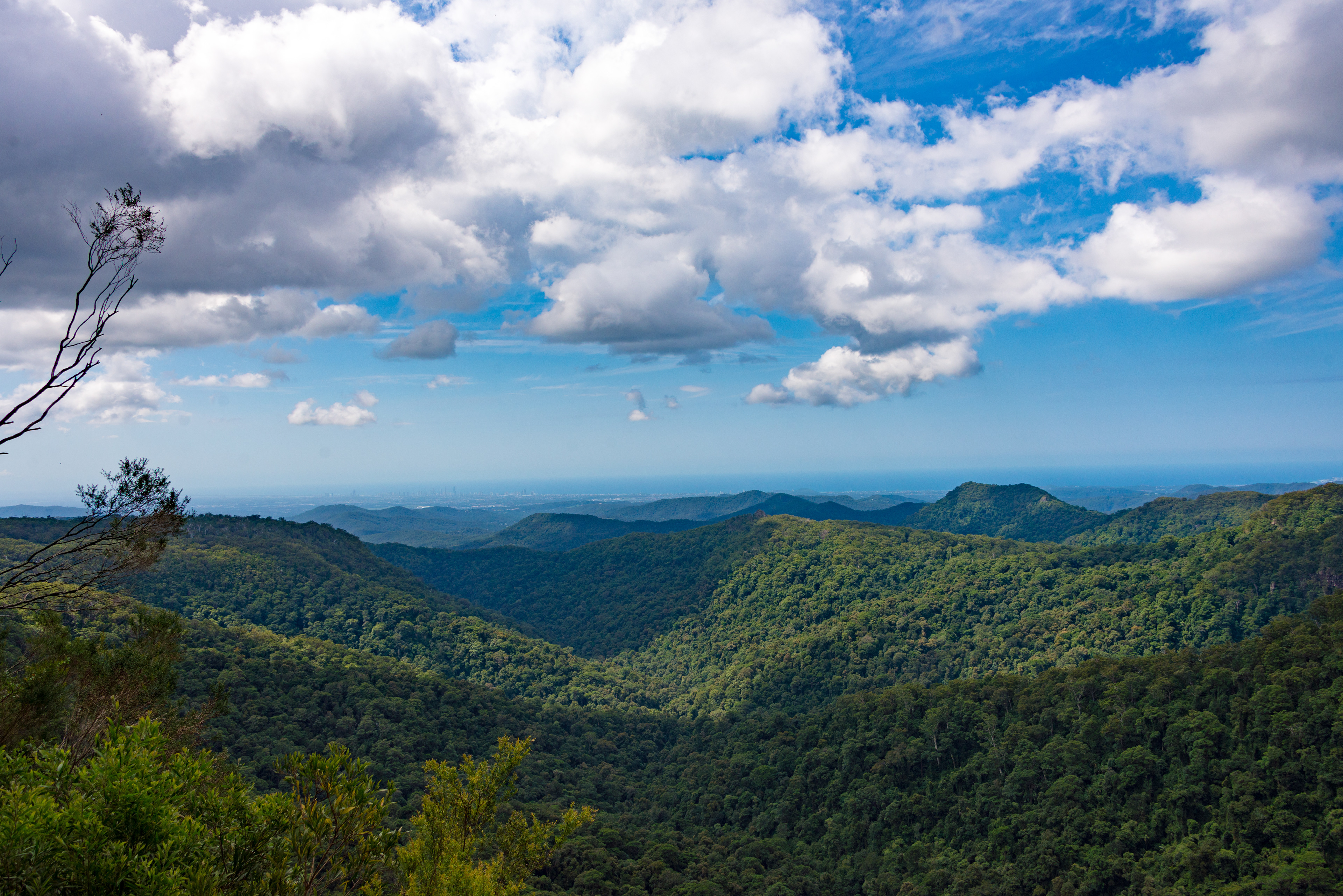 Infinitepx Photography Springbrook National Park
