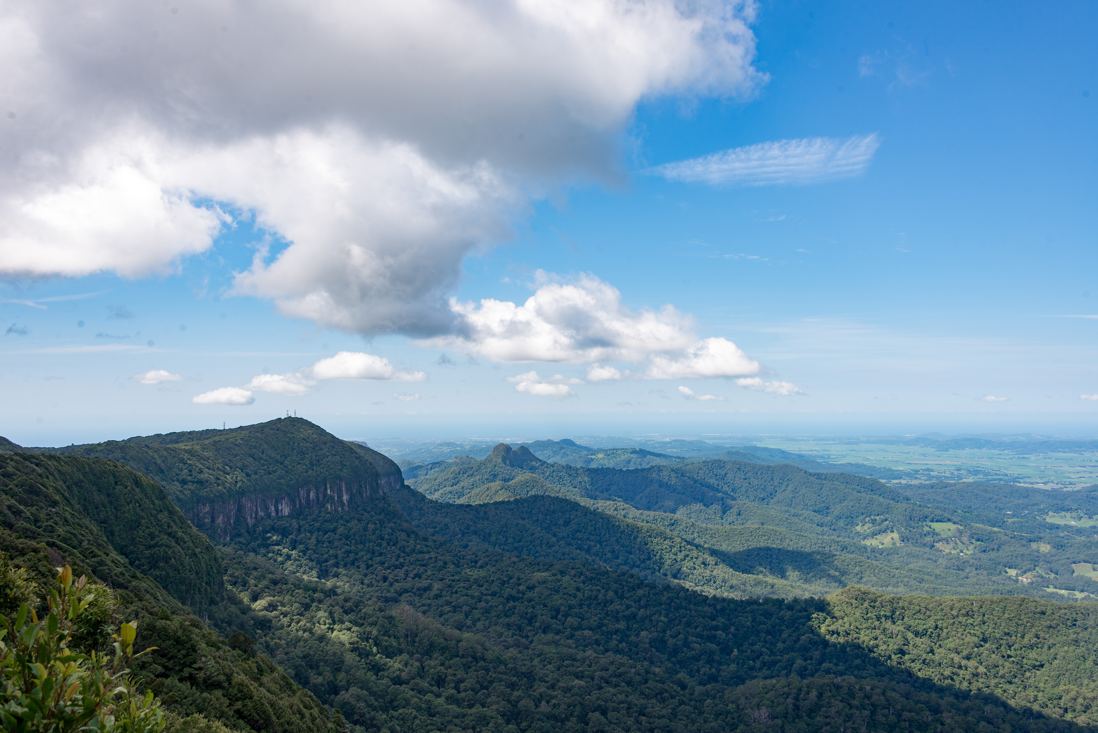 Infinitepx Photography - Springbrook National Park