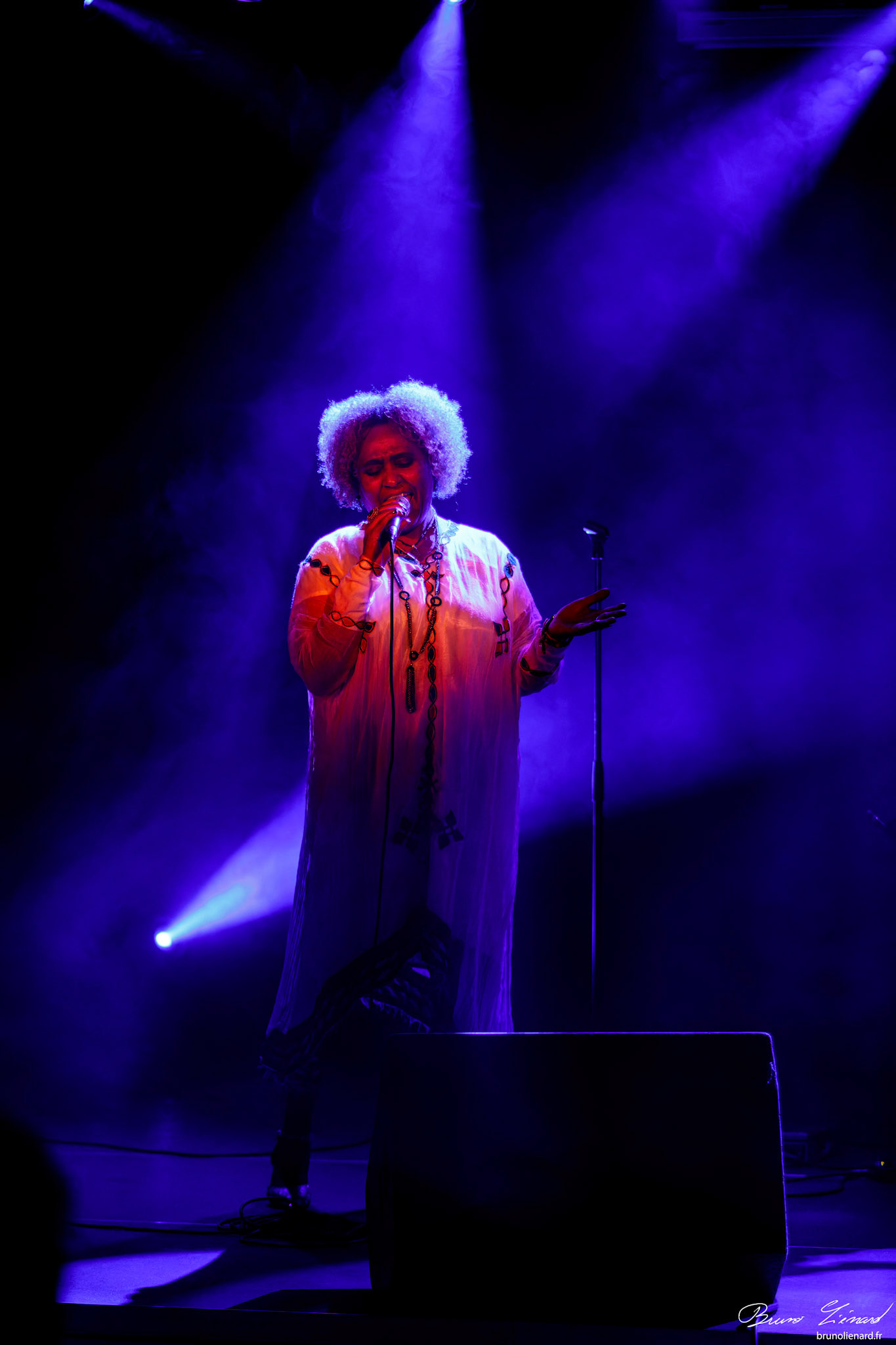 Eténèsh Wassié Trio