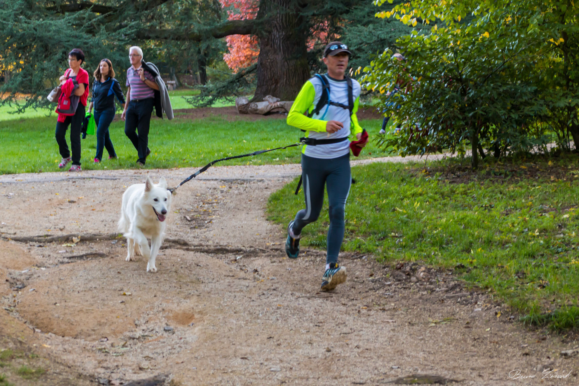 Trail des Lumières 2017