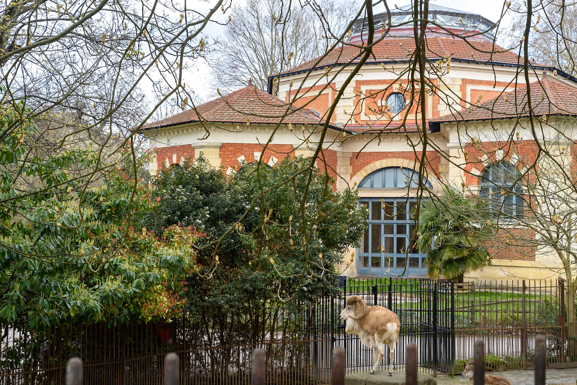 Michel Escallier photographe Ménagerie, jardin des plantes, Paris