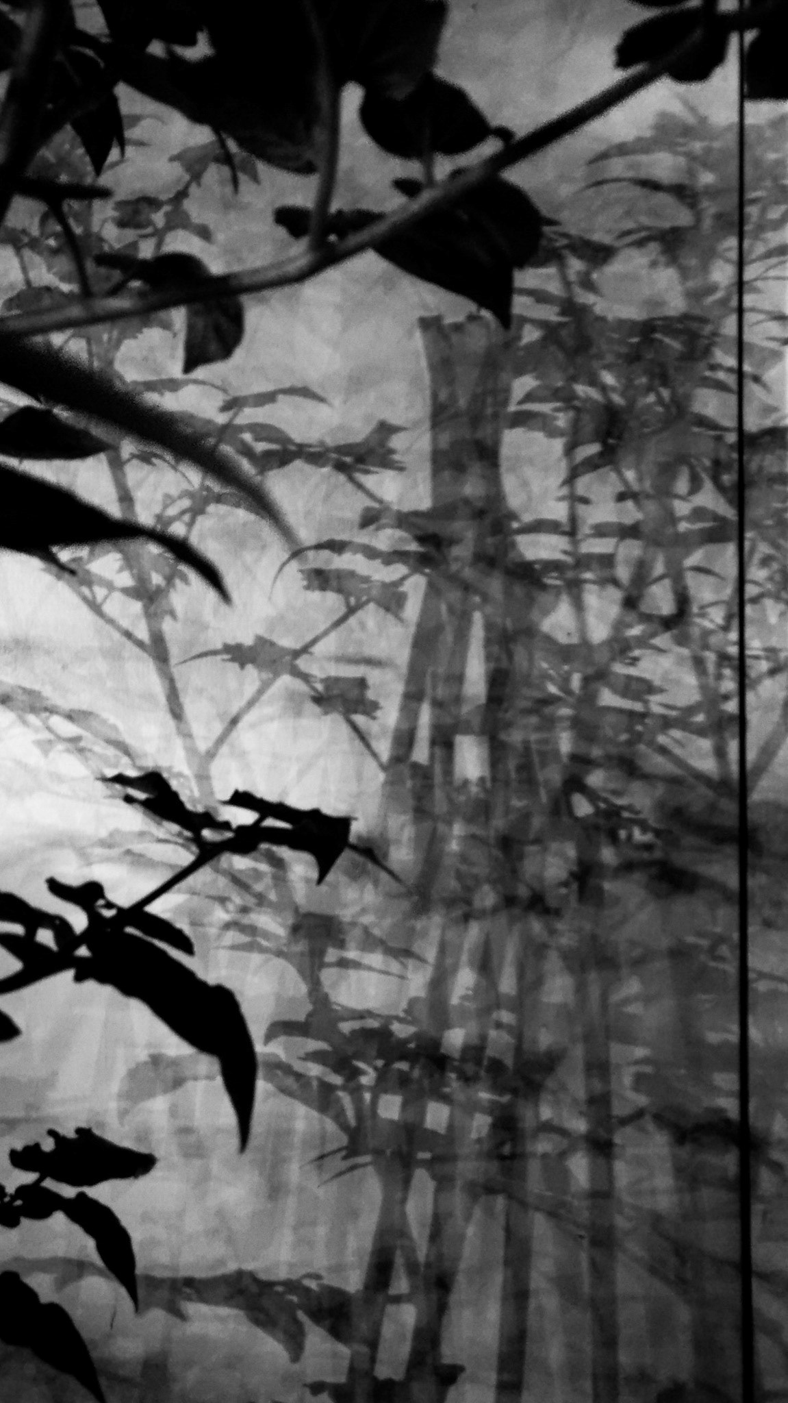 Carolyn Hollingsworth / Smyrna, GA -- Far Away -- 2020, Archival Pigment Print, Edition-N/A, 11x17 Print/Paper $85
