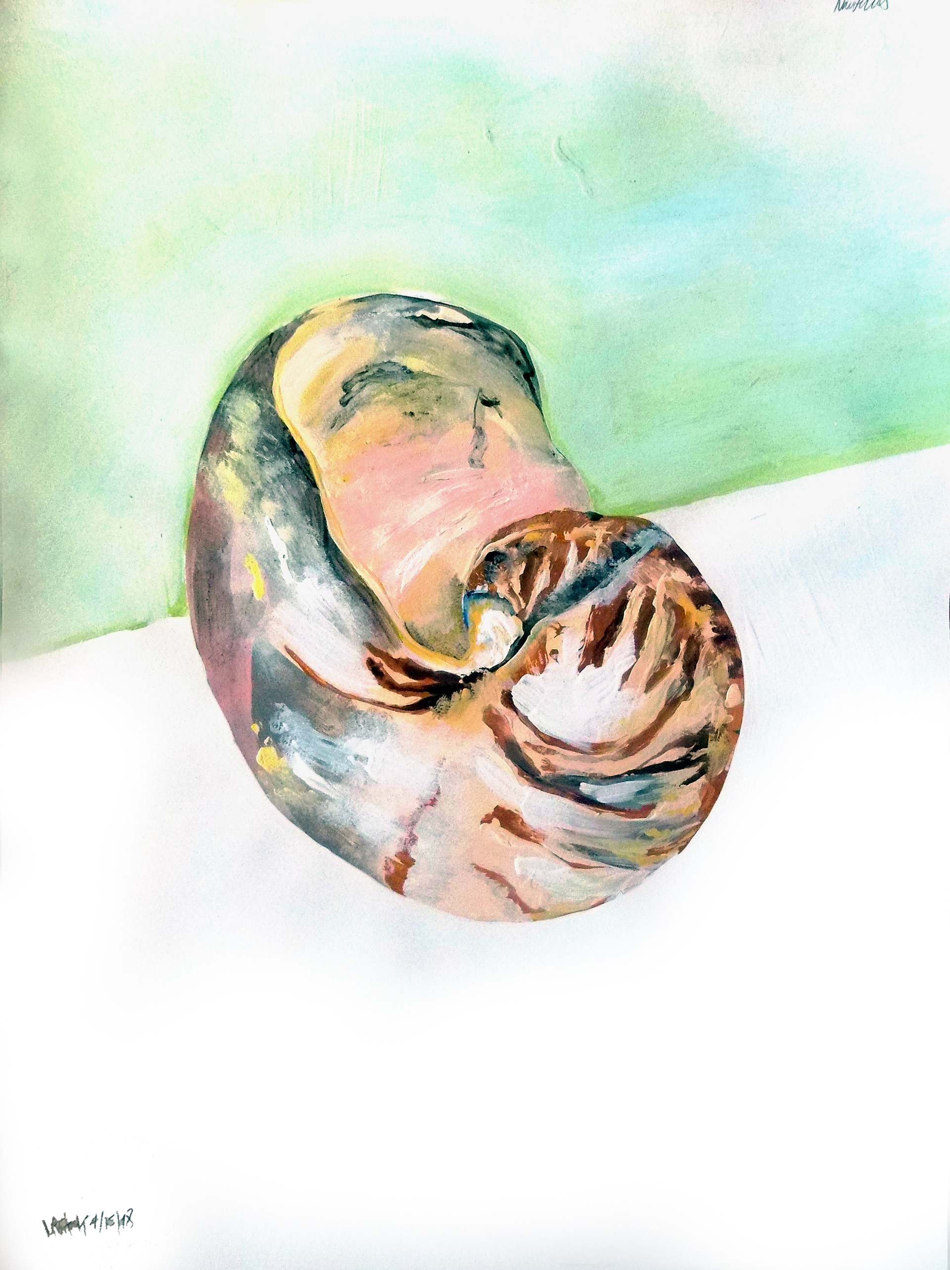 John Inthemiddle Nautilus John Inthemiddle Nautilus