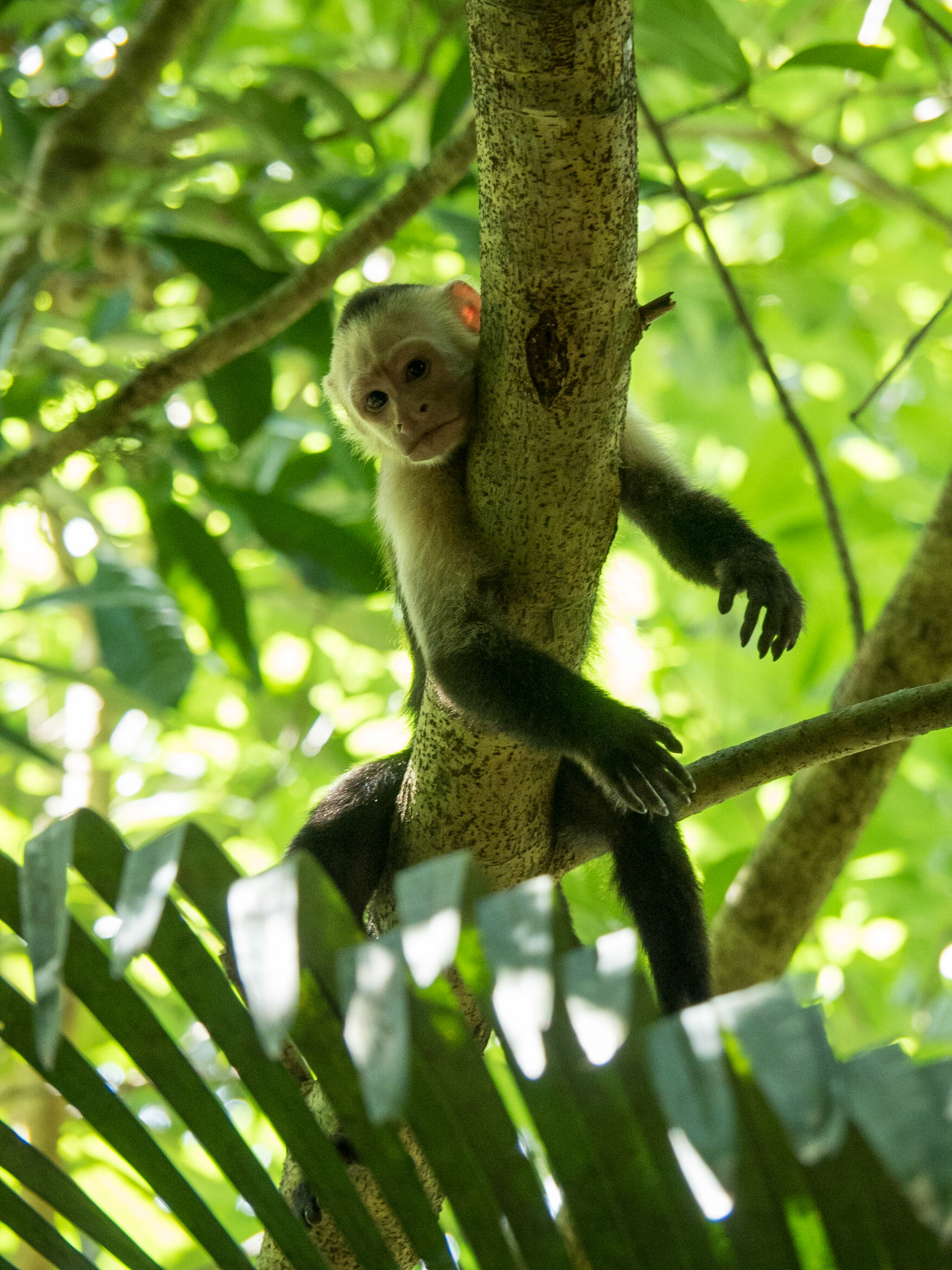 Costa Rica