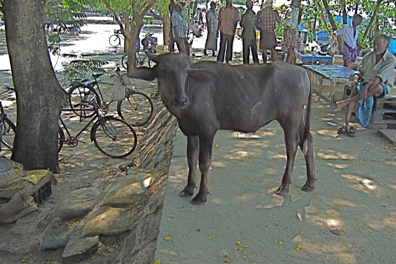 India