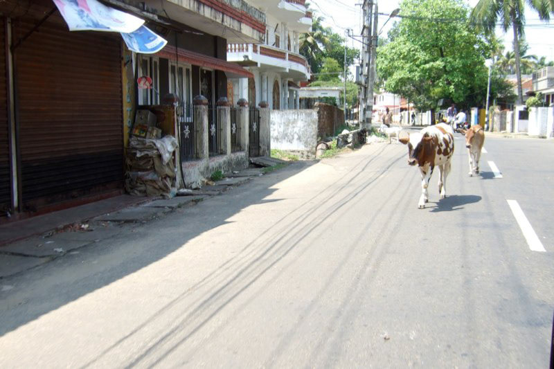 India