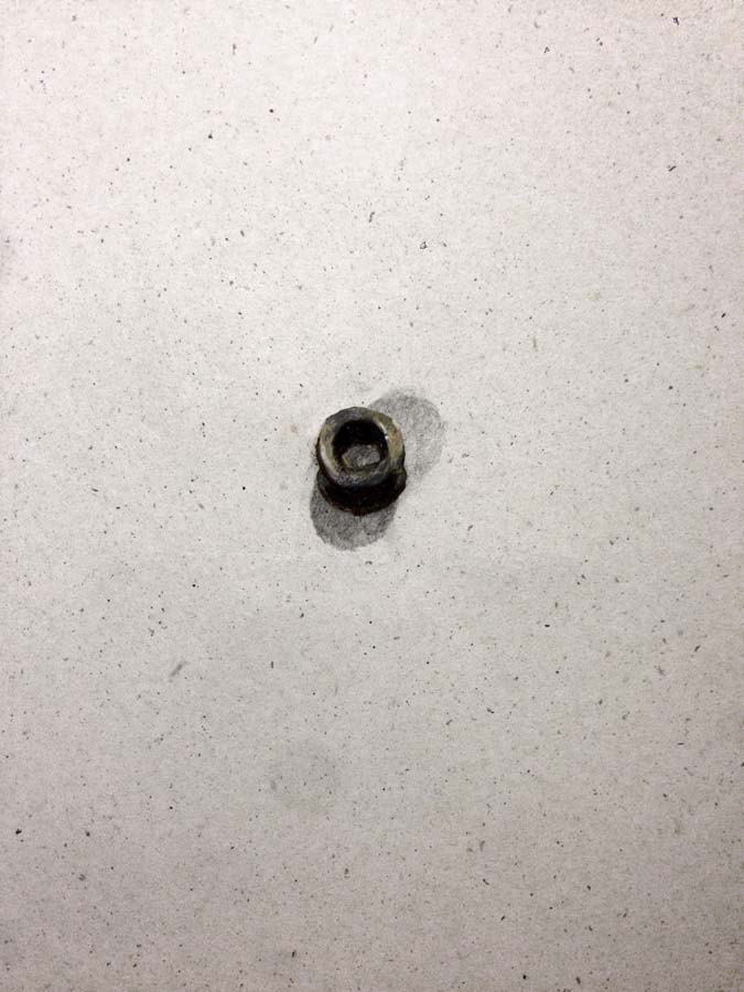 toms's earring. 16.01.2016.