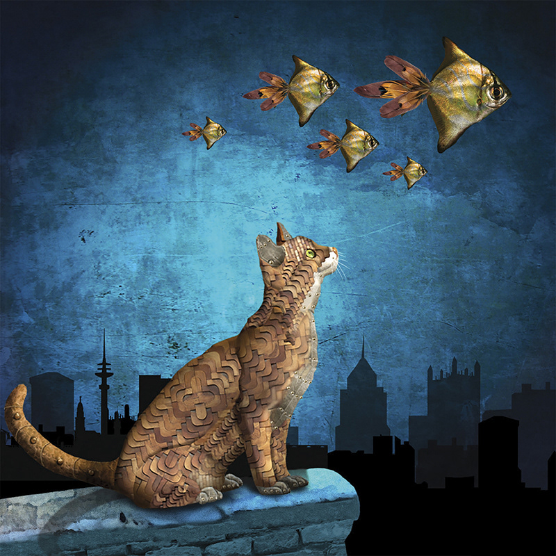 Rêve de chat / A cat's dream